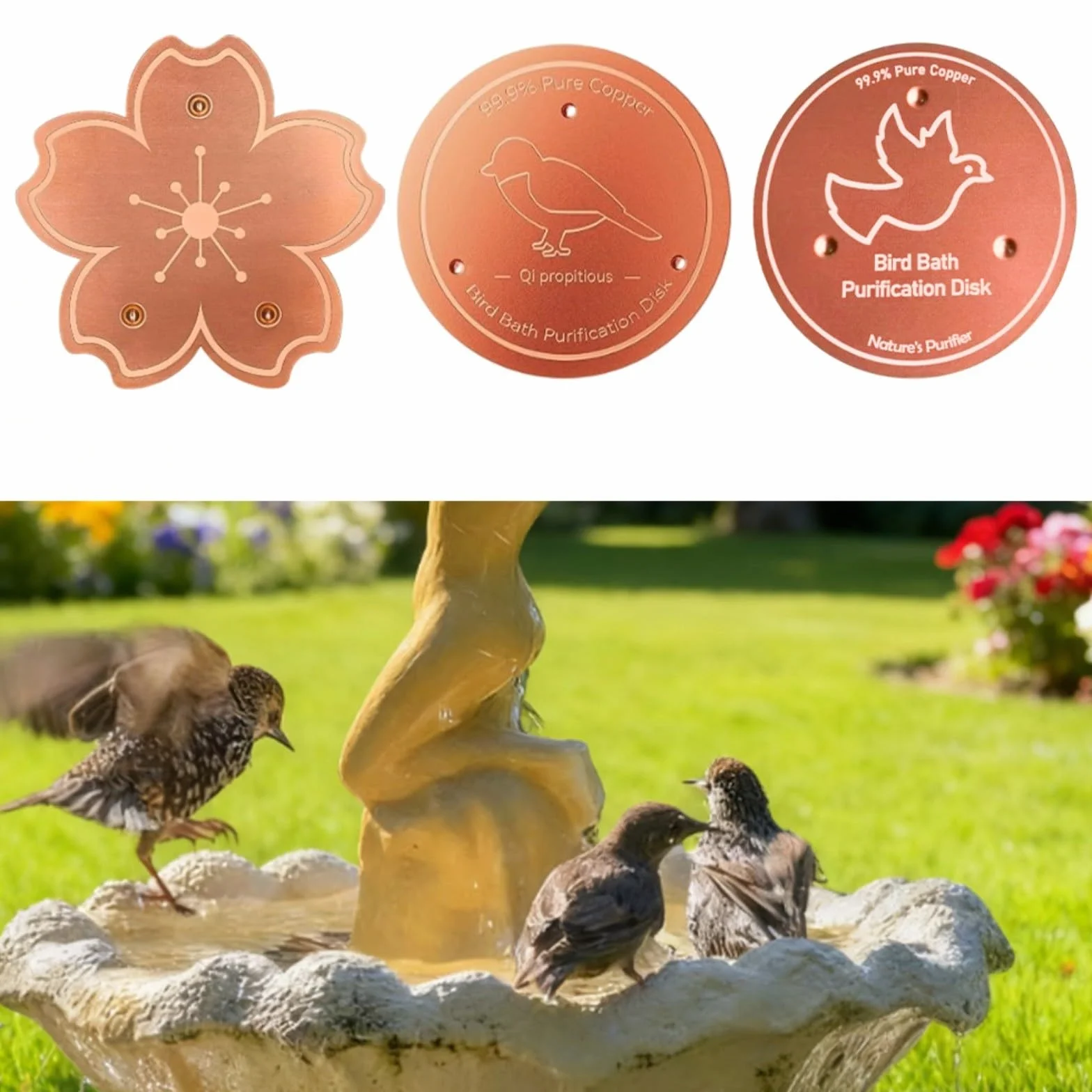 Lot de 2 disques de purification en cuivre pour bain d'oiseaux, plaques antirouille robustes avec support stable pour extérieur