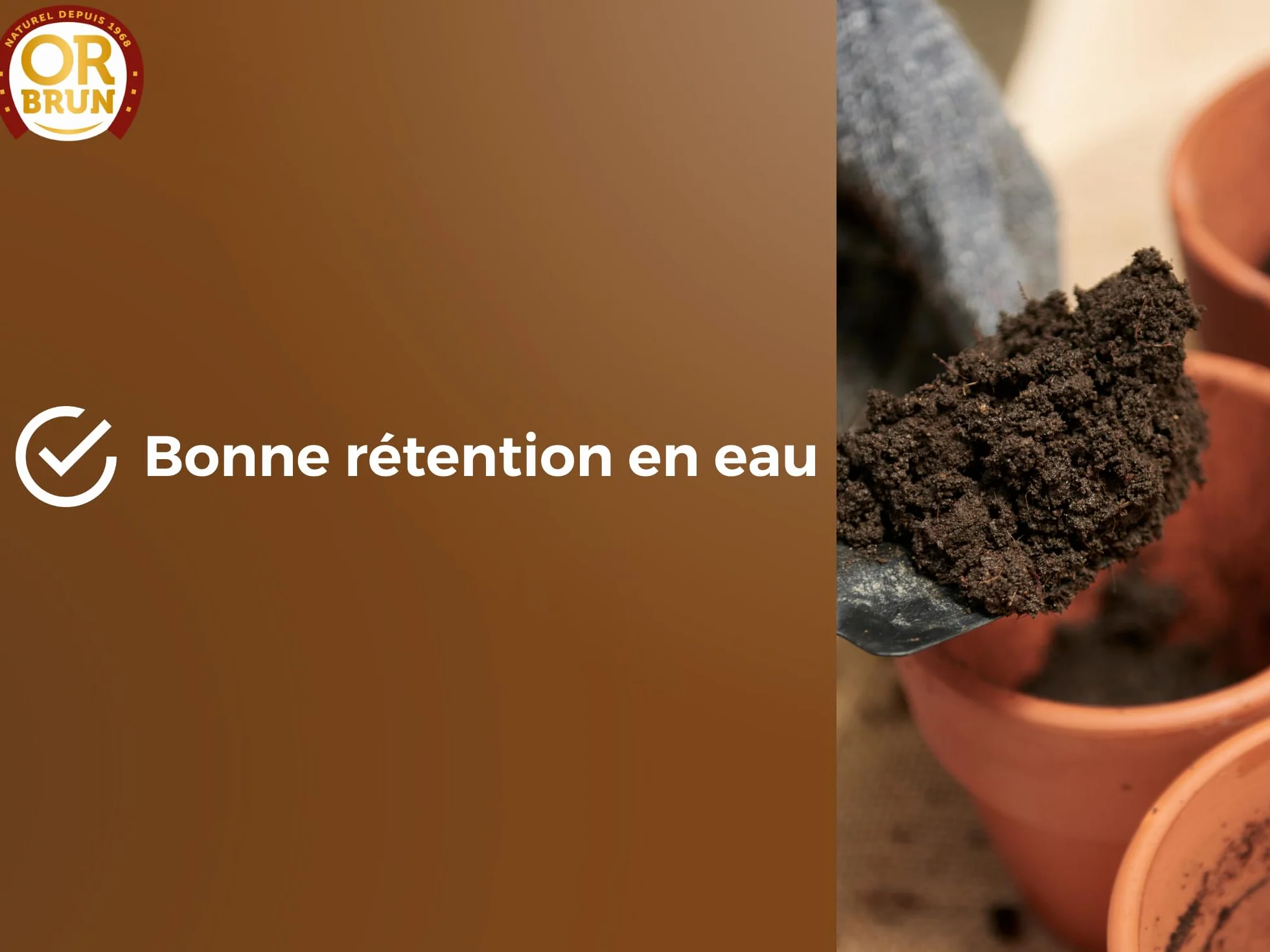Or Brun Terreau Rempotage Universel 6L pour Plantes en Pots