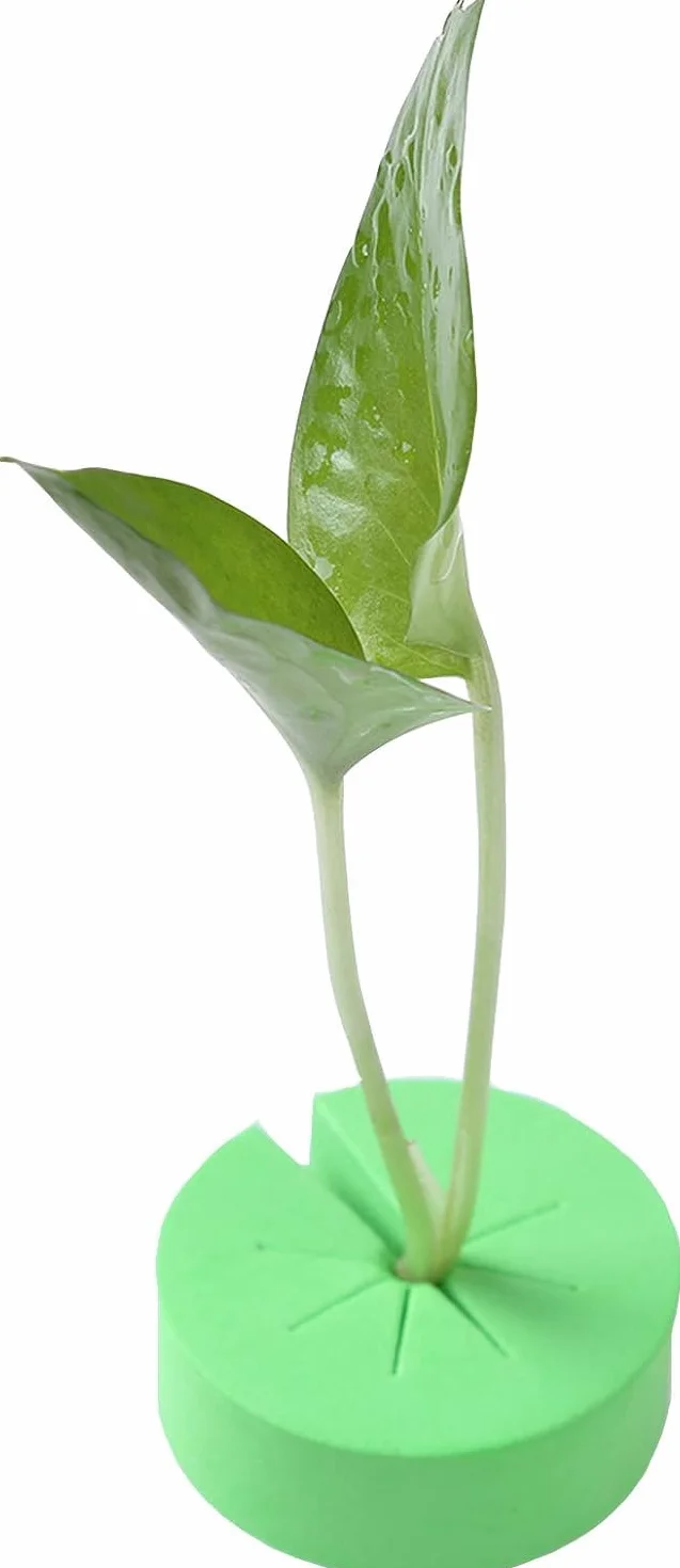 Lot de 50 colliers clonés en néoprène pour hydroponie, inserts en mousse, 8 rayons