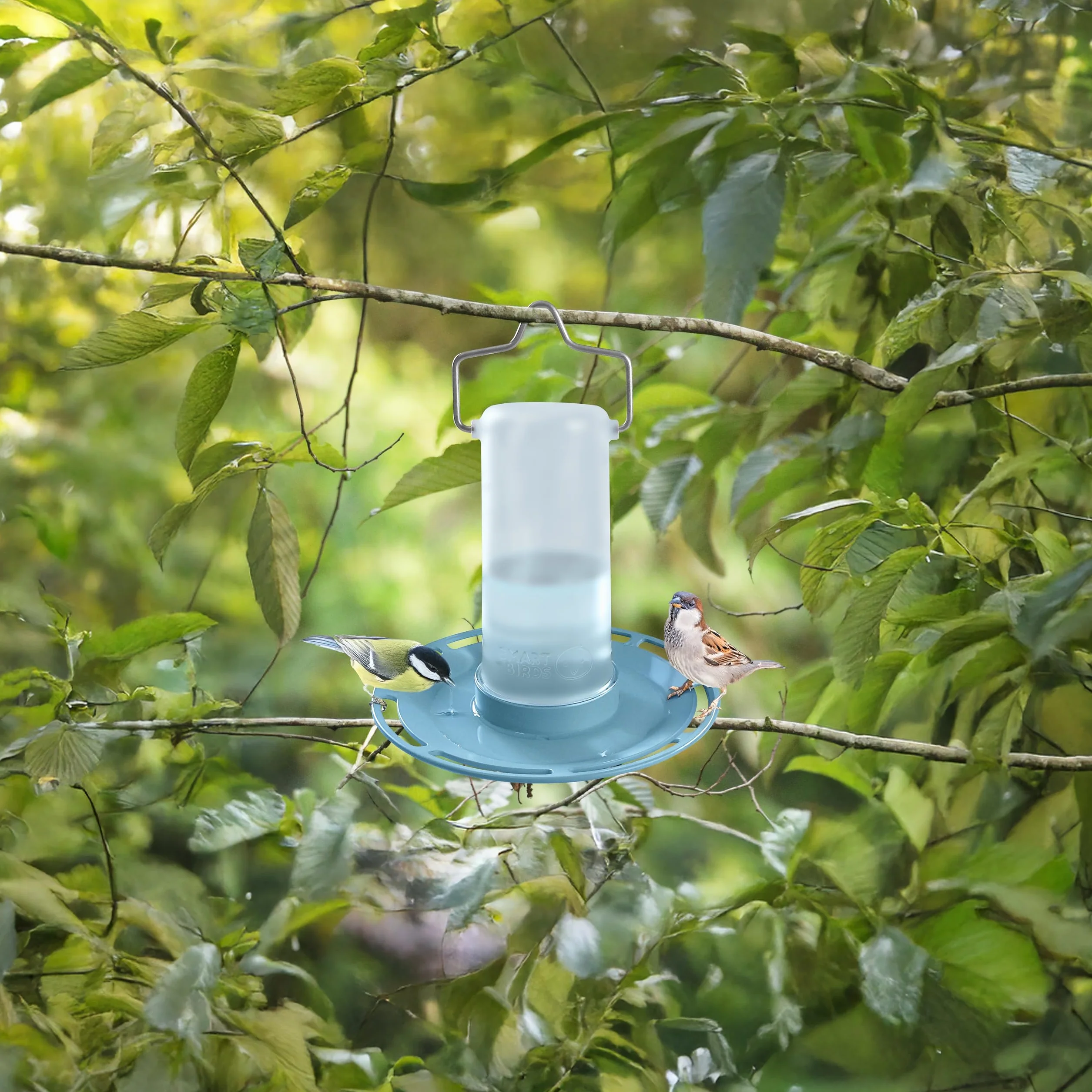 SWISSINNO Abreuvoir pour Oiseaux Zug Smart Birds Bleu Clair – Résistant aux UV Plastique PC et ASA Robuste – Distributeur d’Eau Balcon Terrasse Jardin