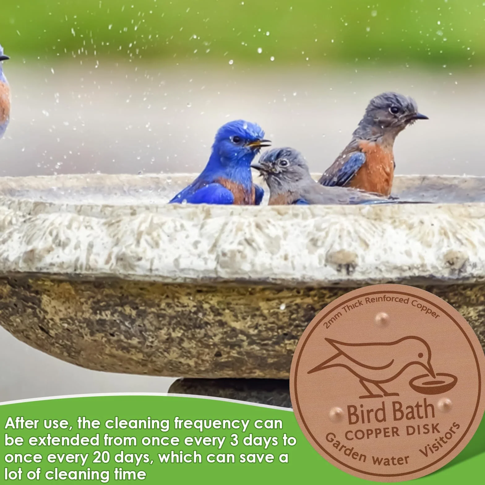 Abreuvoirs à oiseaux avec disque en cuivre 99,99% - Plaque en cuivre 0,8 mm - Lot de 2