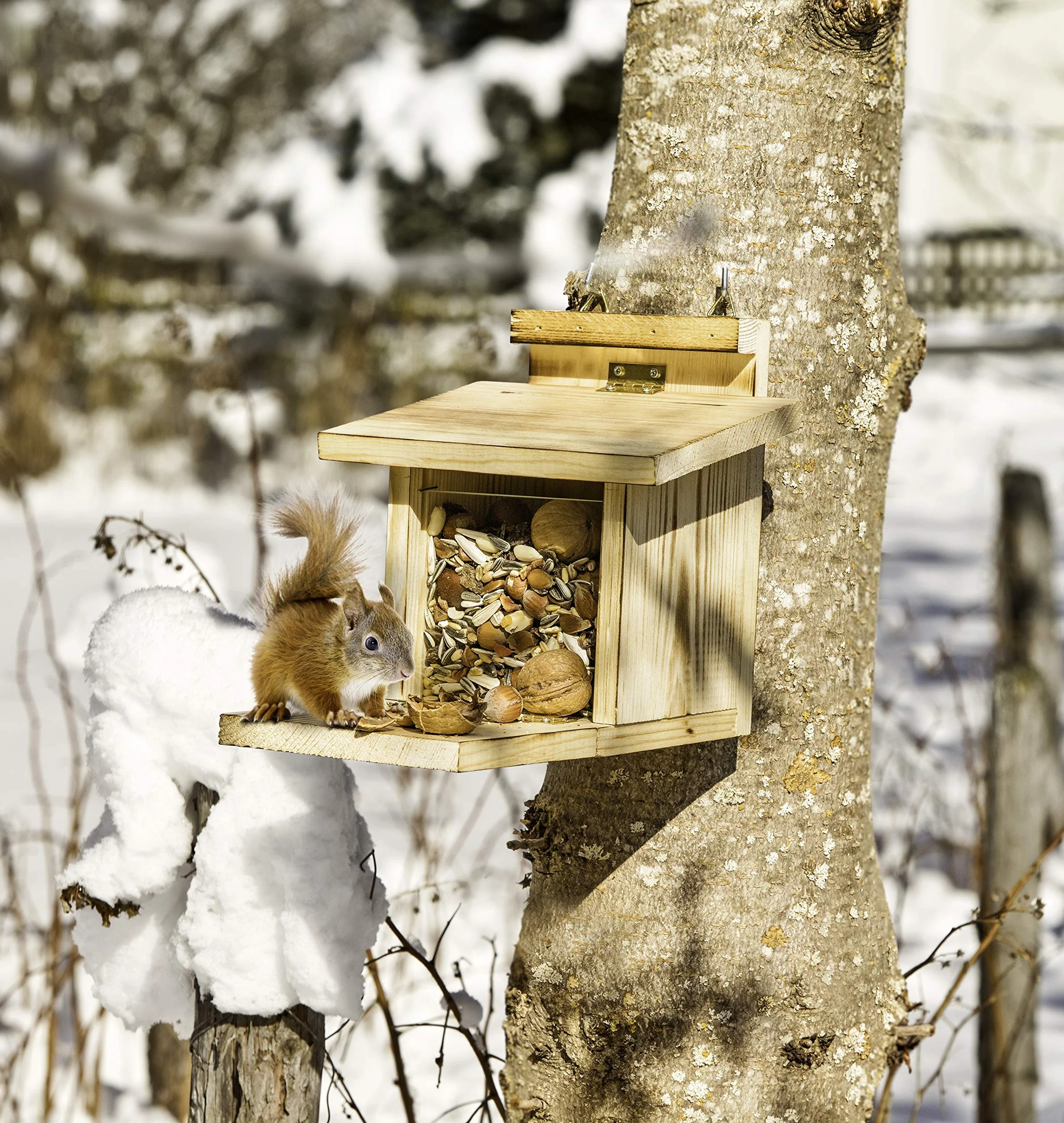 Windhager Mangeoire Automatique pour écureuils Bois