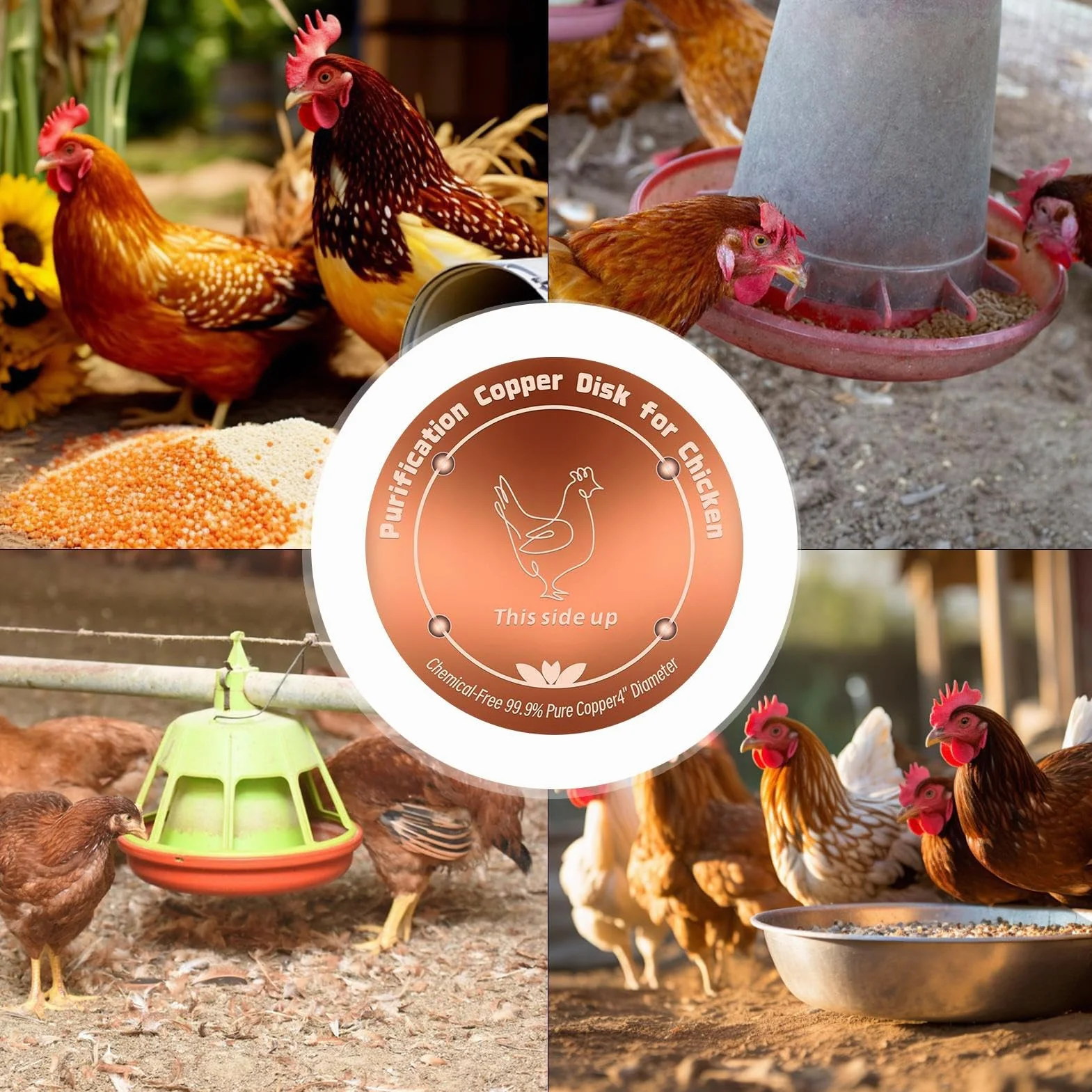 Copper Cleaning Disc 4 Inch Bird Bath Water Purifier Long Lasting for Garden Fountains