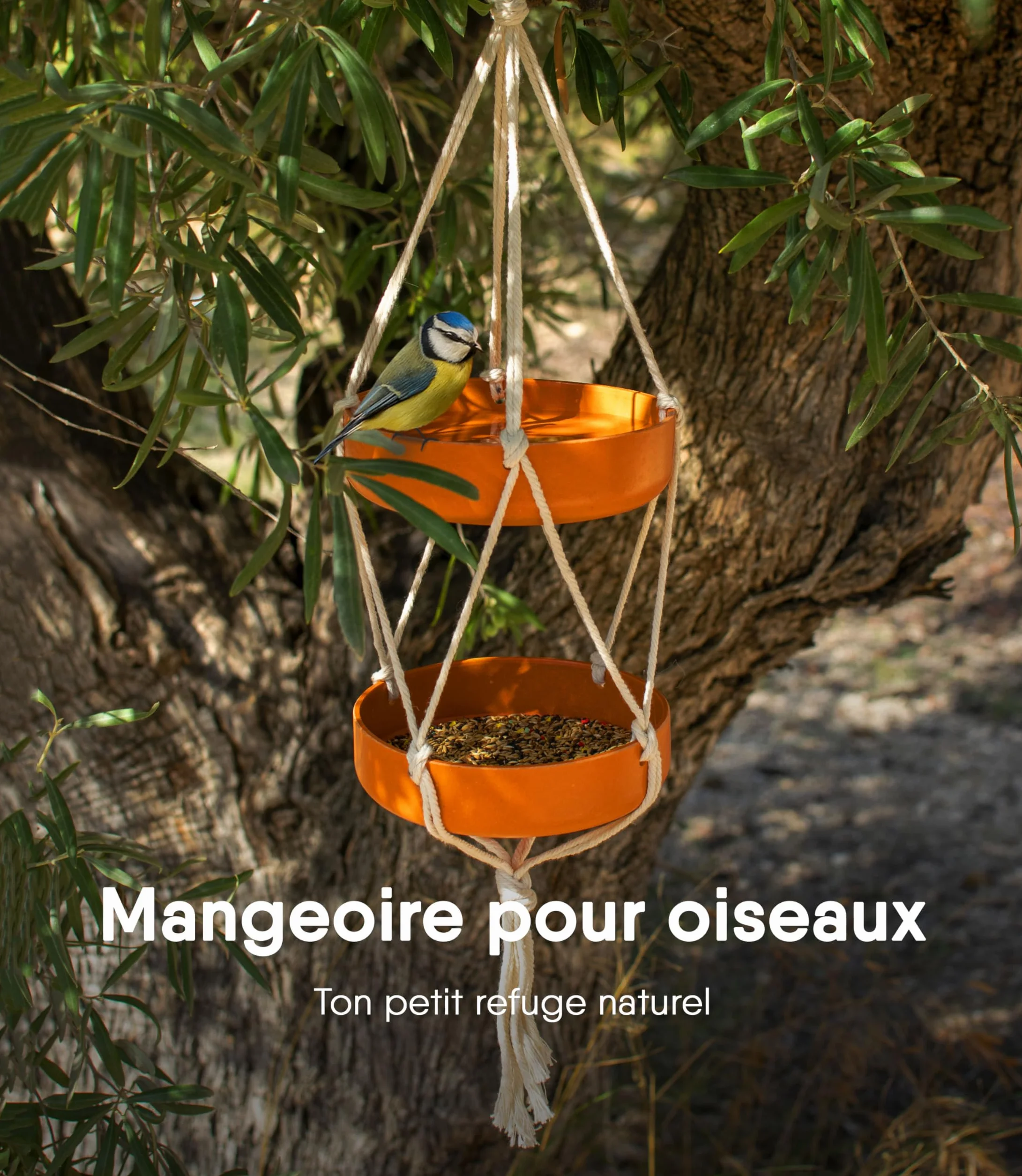 Mangeoire d'extérieur Suspendue Double Plateau Fibre de Bambou Corde Coton Jardin Balcon