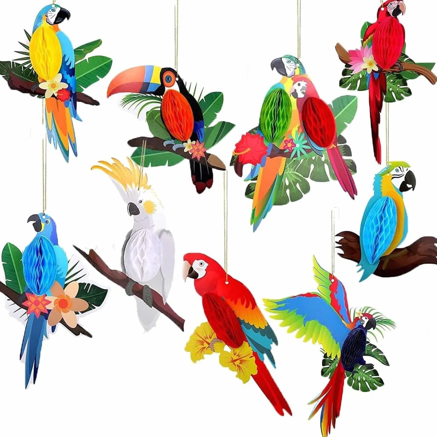 Lot de 9 découpes 3D en nid d'abeille oiseau tropical perroquet hawaïen décoration plage salle de classe jungle