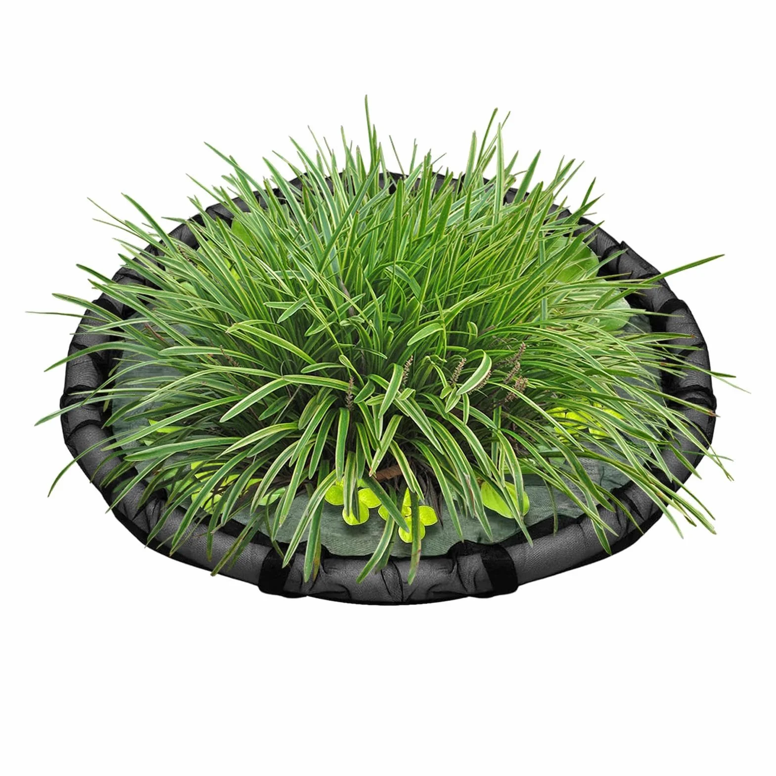 Anneau flottant pour plantes Barrière flottante poissons flore aquatique maille 45 cm grille fine décorative étang