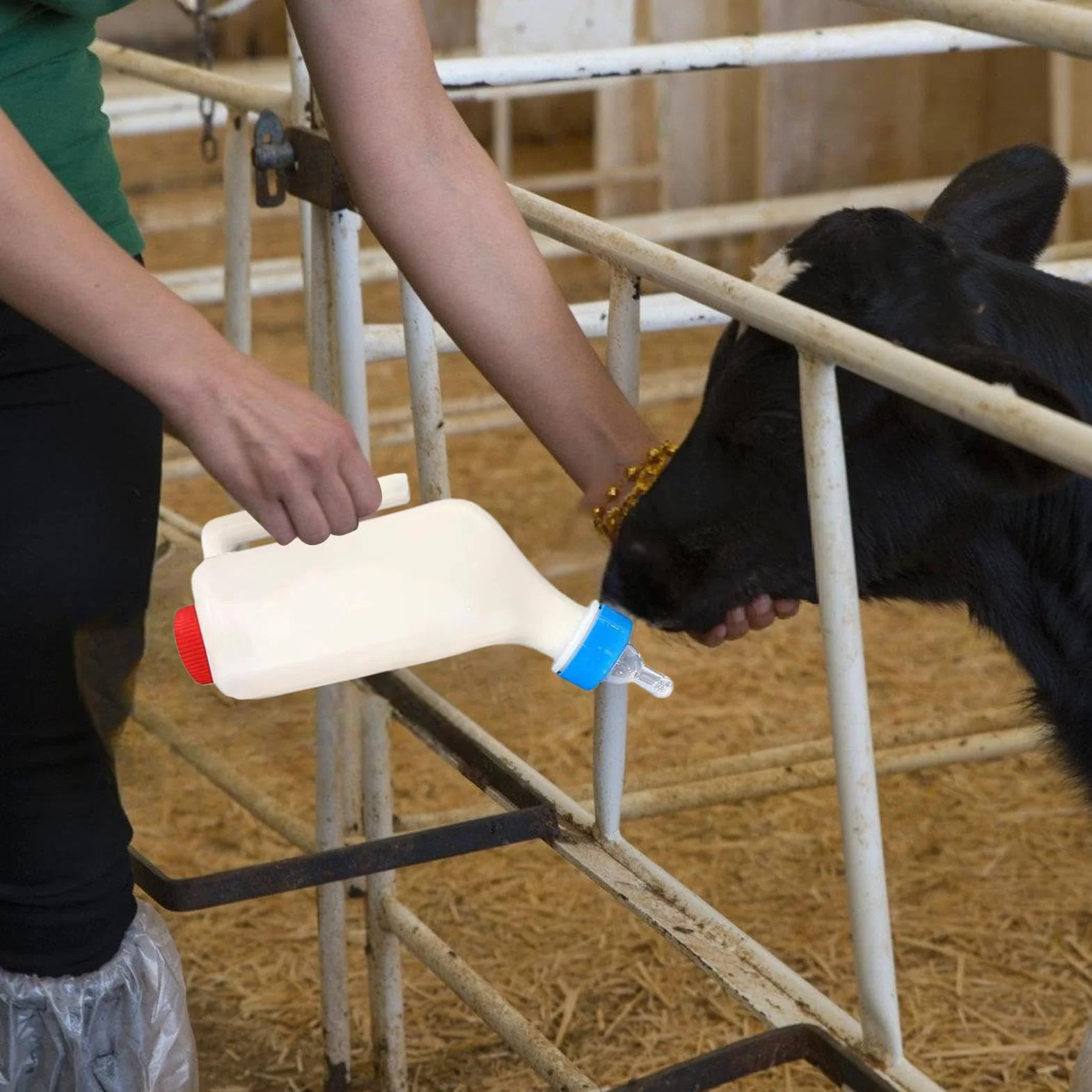 Biberon d'agneau et de chèvre 500/800ml Bouteille de lait avec poignée pour veaux agneaux