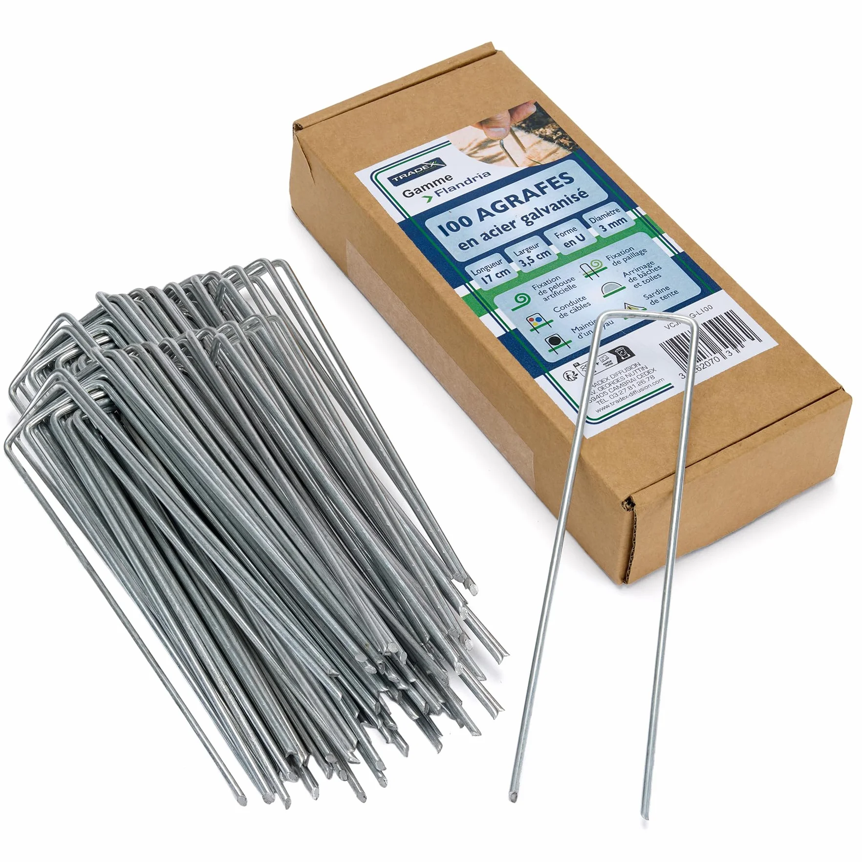 Flandria Lot 100 Piquets de Fixation Acier Galvanisé 170 mm x 35 mm Ø 3 mm Agrafes de Jardin