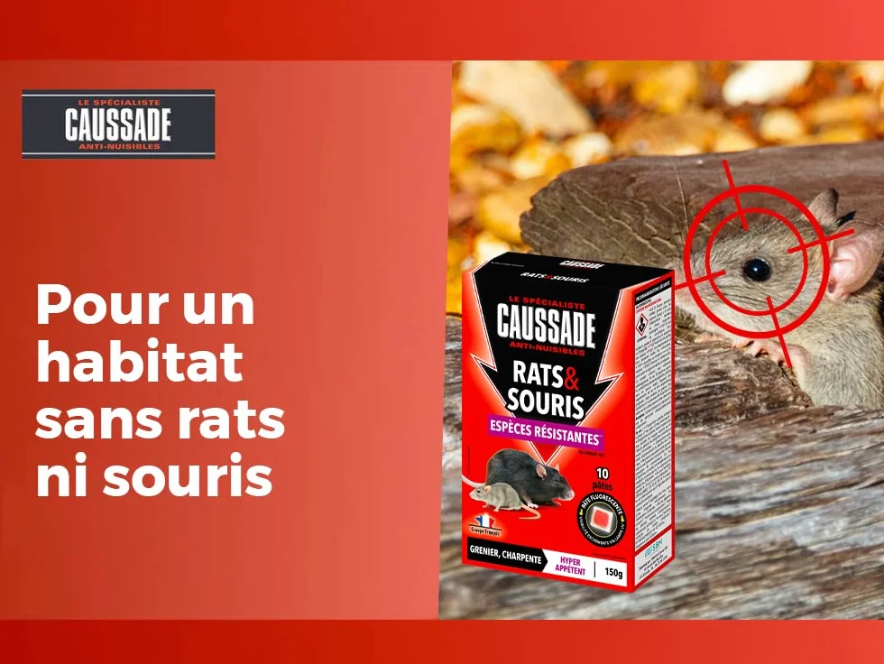 CAUSSADE Anti Rats & Souris 10 Sachets Pâtes Fluorescents 150g Fabriqué en France