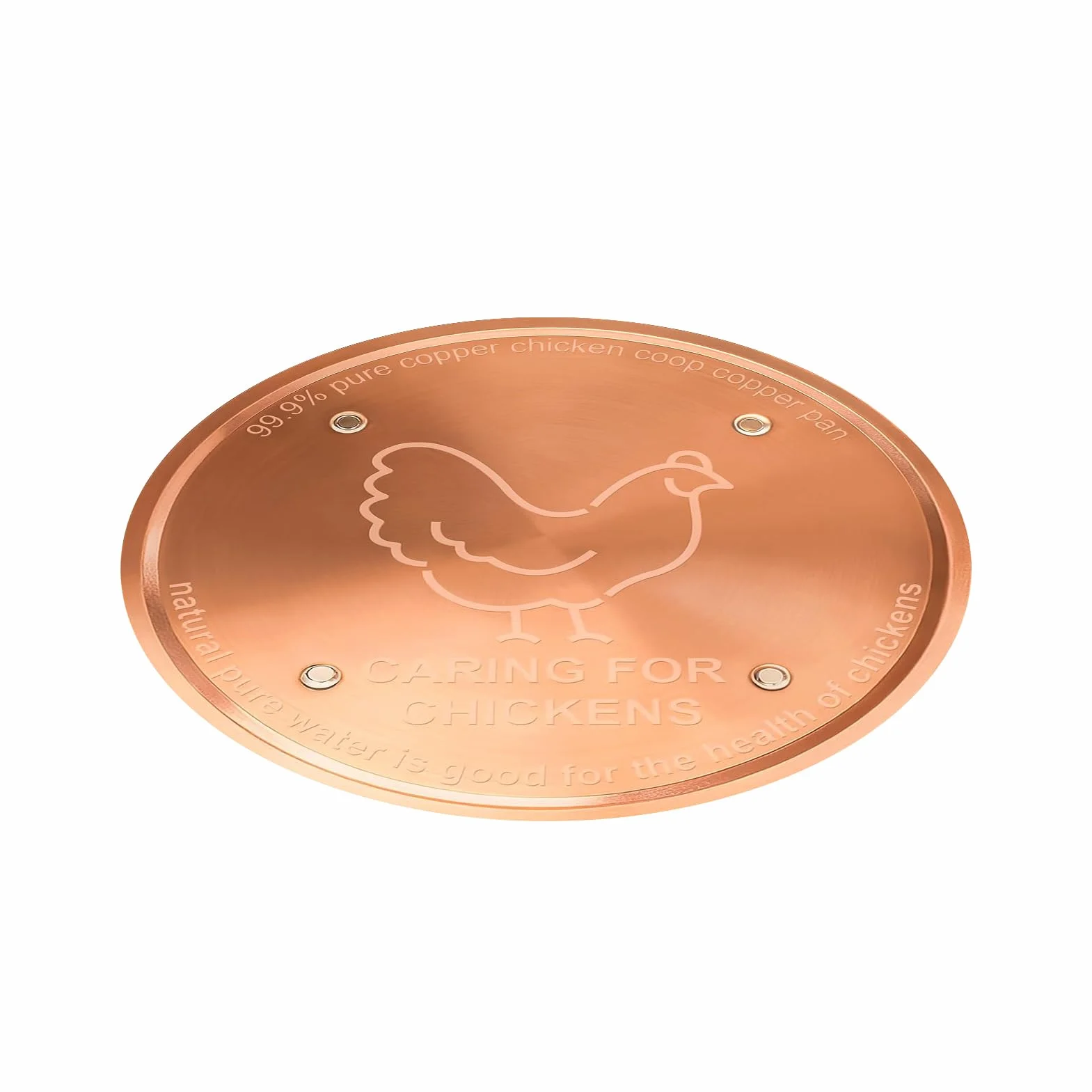 Disque de Bain d'oiseaux en Cuivre 10 cm Purification d'eau pour Bassin Extérieur Jardin