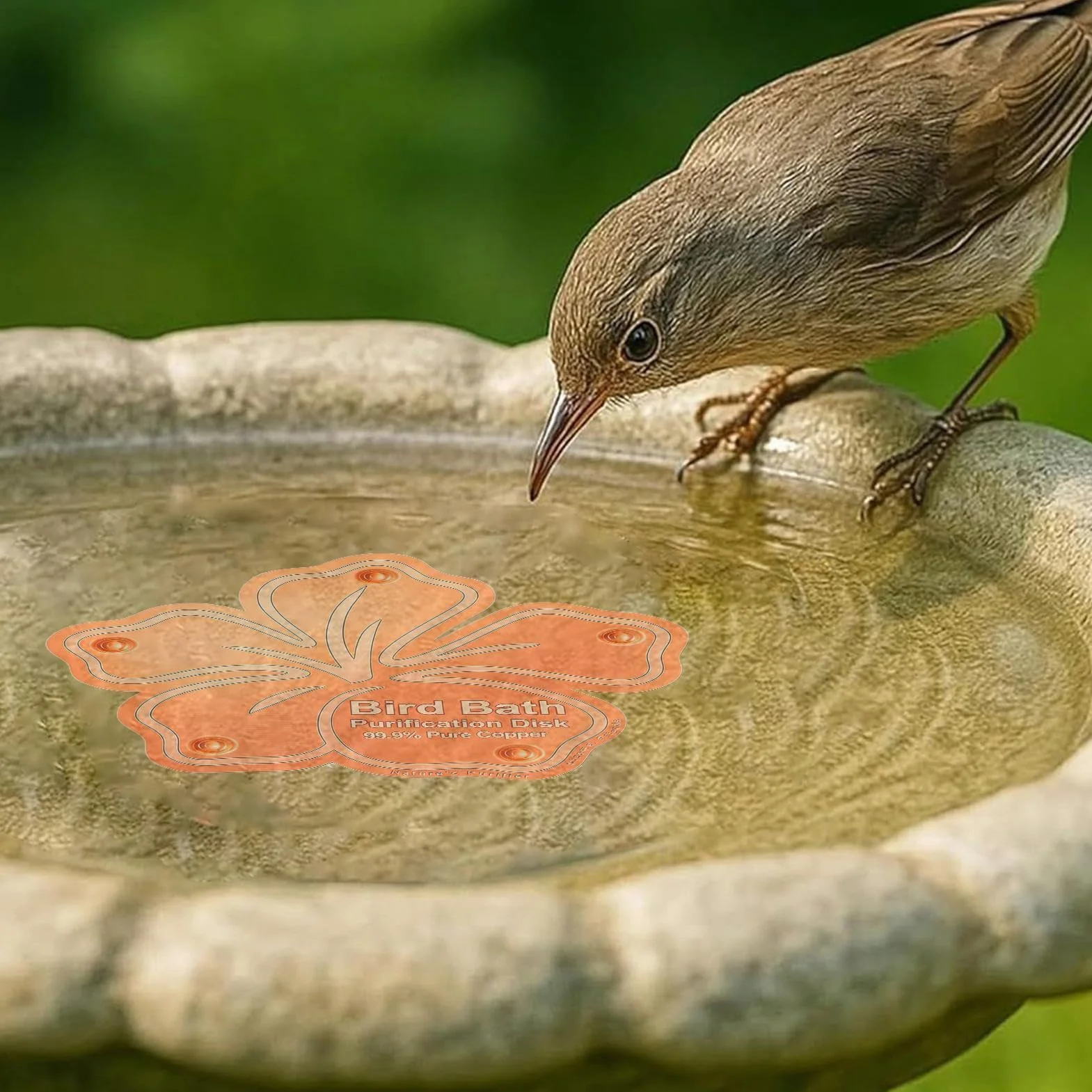 Disque de traitement de l'eau pour abreuvoir à oiseaux en cuivre résistant aux intempéries