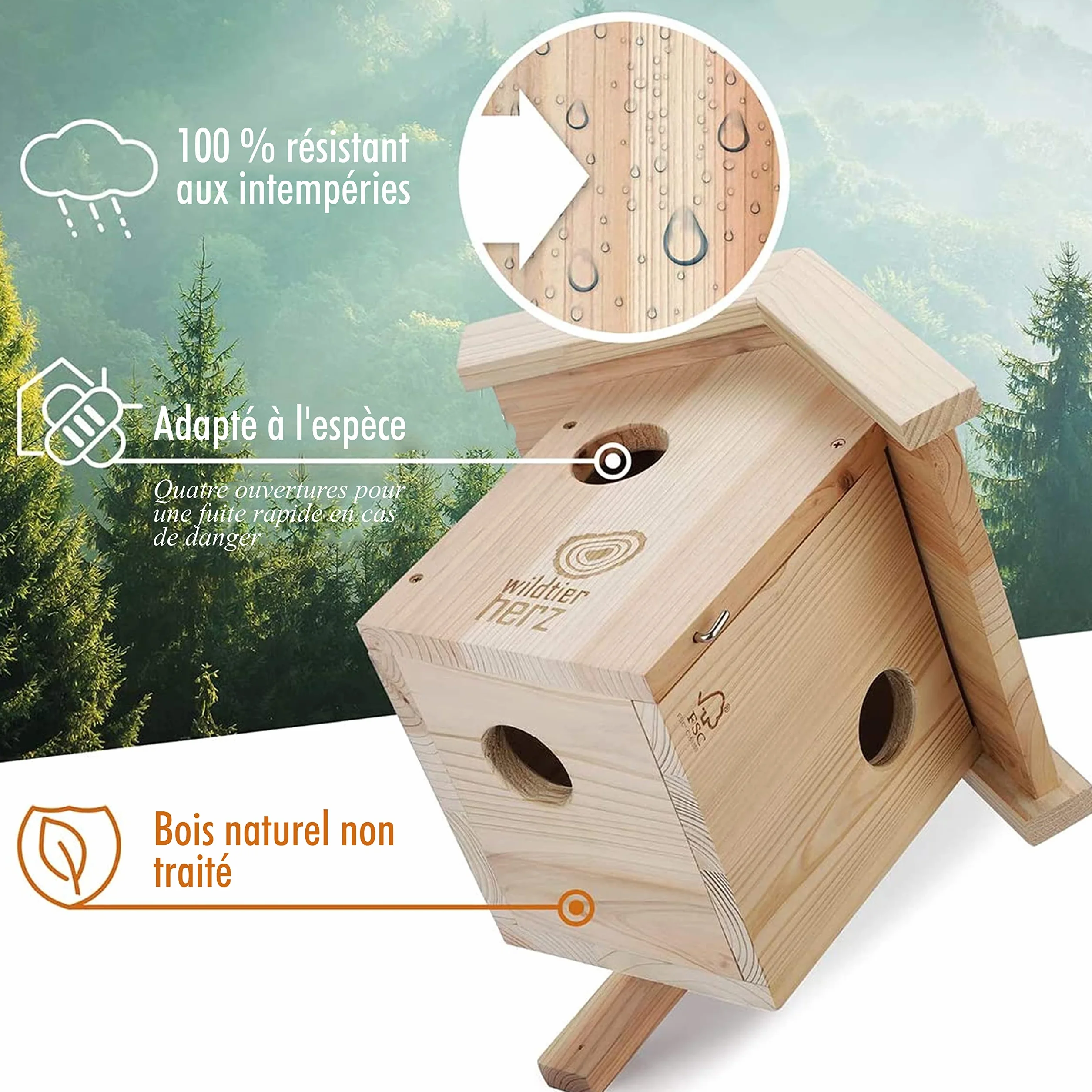 Cobel Nid pour écureuil en Bois Massif vissé - Maison pour écureuil et nichoir à Suspendre pour Jardin