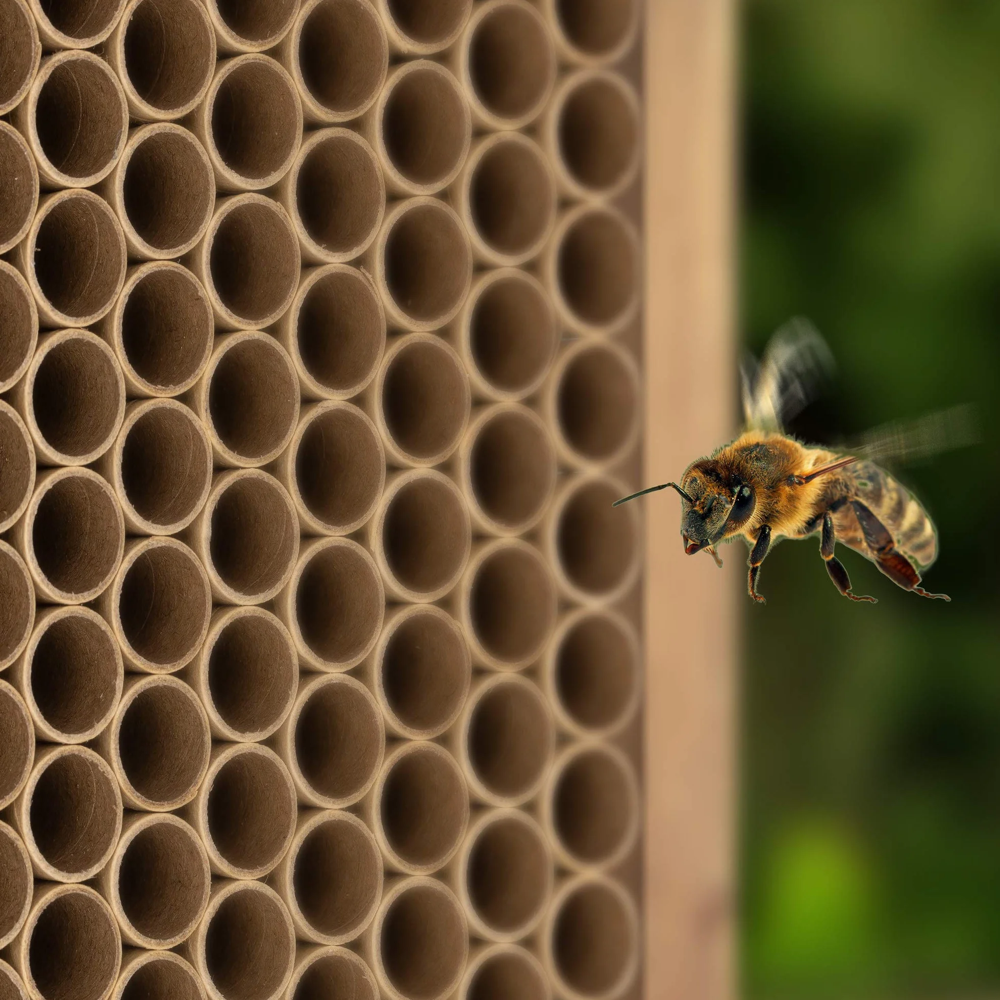 Navaris Tube en Papier pour Abeille 200x Recyclable Hôtel à Insectes Abri Refuge