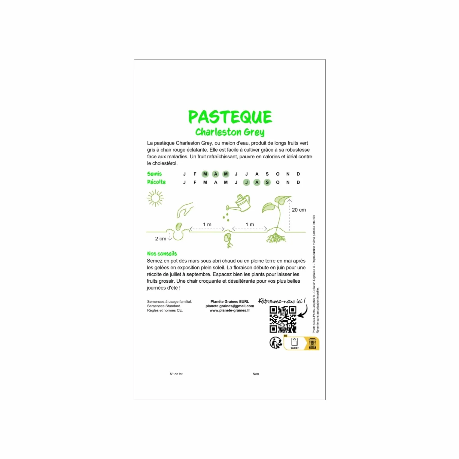 Pastèque Charleston Grey 60 graines, variété ancienne à gros fruits résistante et très sucrée