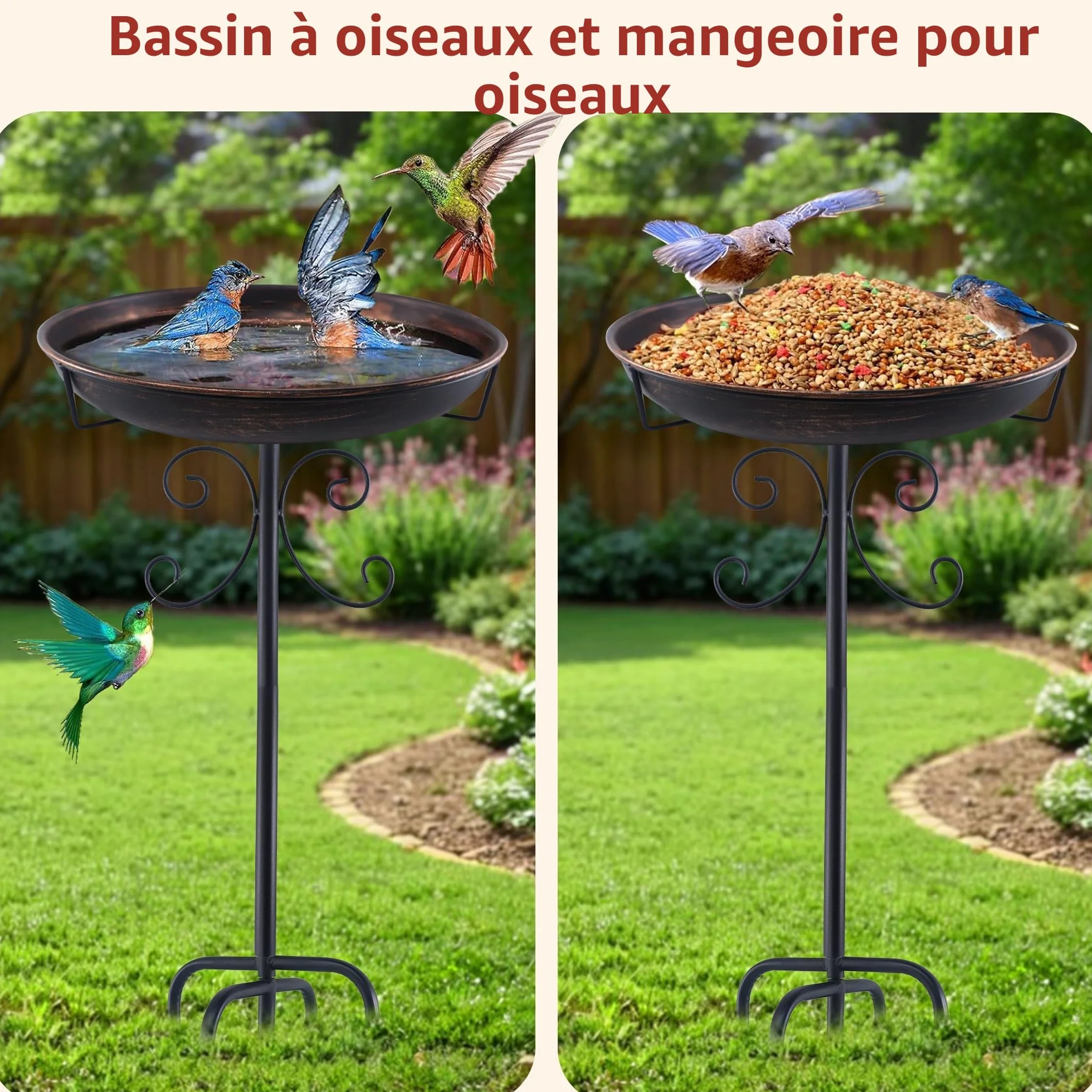 Bain d'Oiseaux pour Extérieur - Abreuvoir et Mangeoire pour Oiseaux Sauvages avec 5 Bases Fixes