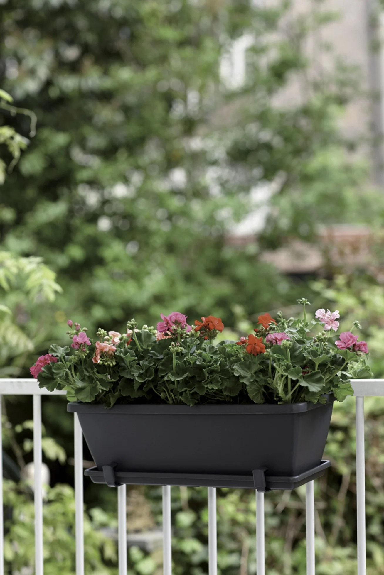 Elho Barcelona Balconnière 50 Planteur Plastique Recyclé Ø 49.8 x H 16.0 cm Blanc