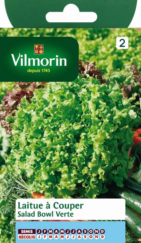 Vilmorin Pack de Graines Laitue à Couper Salade Bol Vert