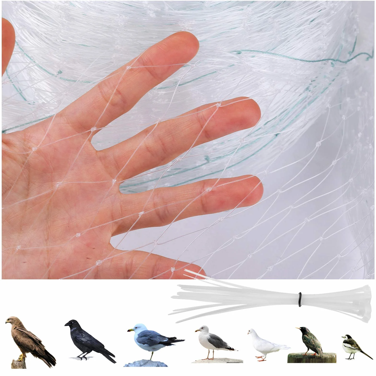 GWHOLE Filets de Jardin Anti-Oiseaux 8M x 3M Maille 2,5cm Filet de Protection