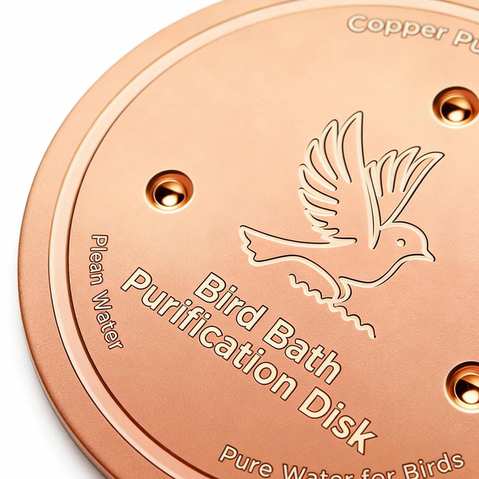 Disque à oiseaux en cuivre 20,3 cm plateau de bain résistant à la rouille fontaine accessoire