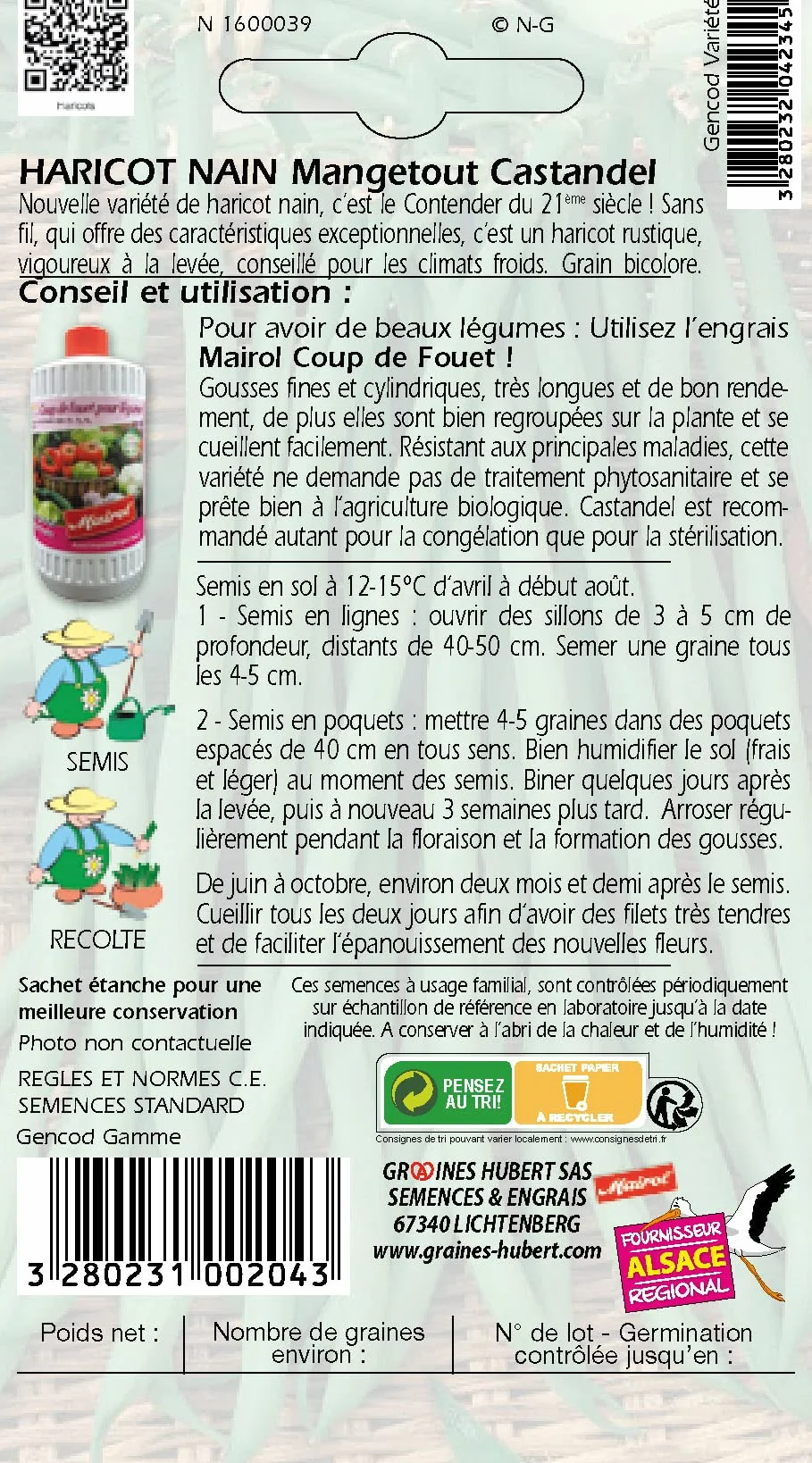 Haricot nain Mangetout Castandel - 50 Graines Petit Jardin