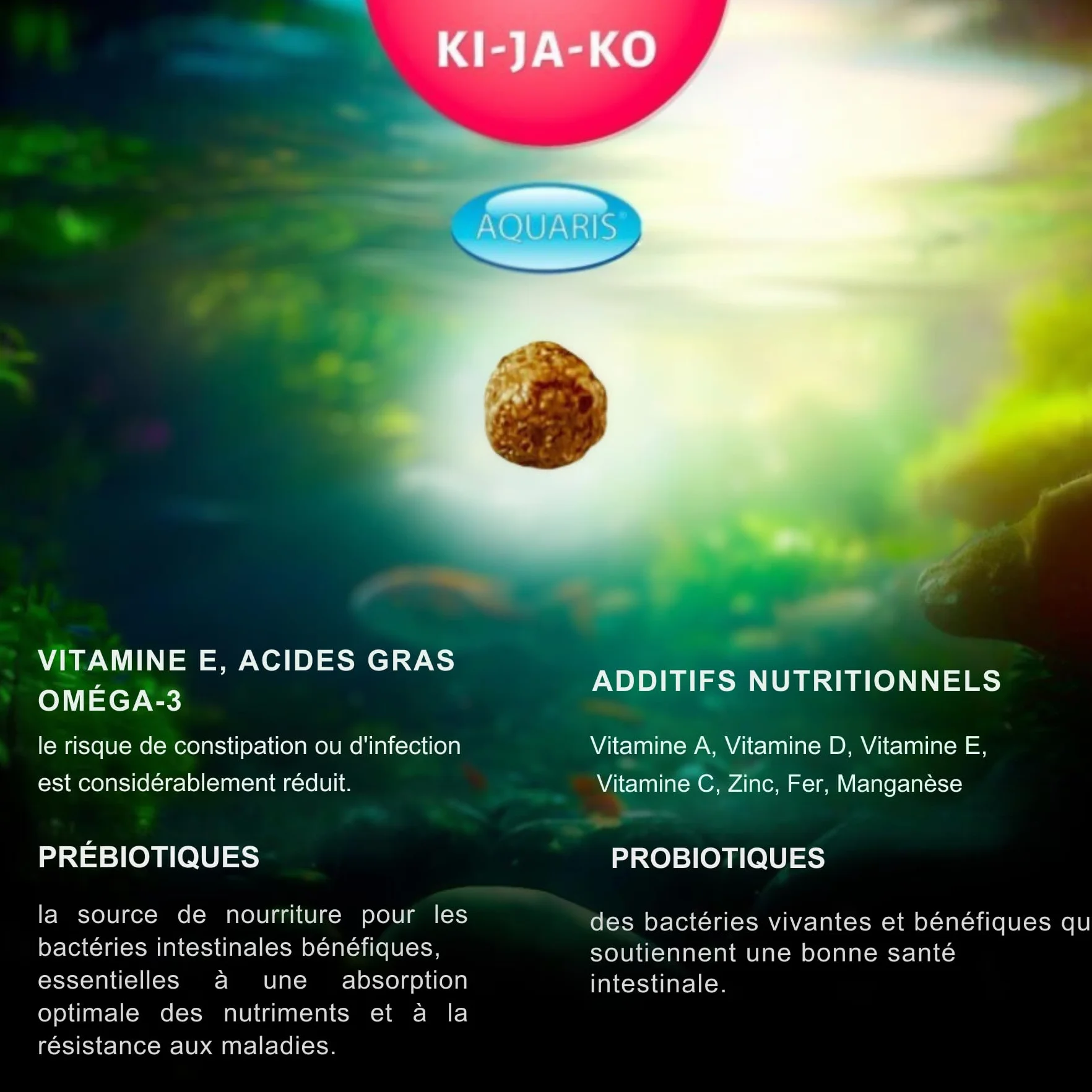 Aliment Flottant de Base pour koï 3 kg 6 mm