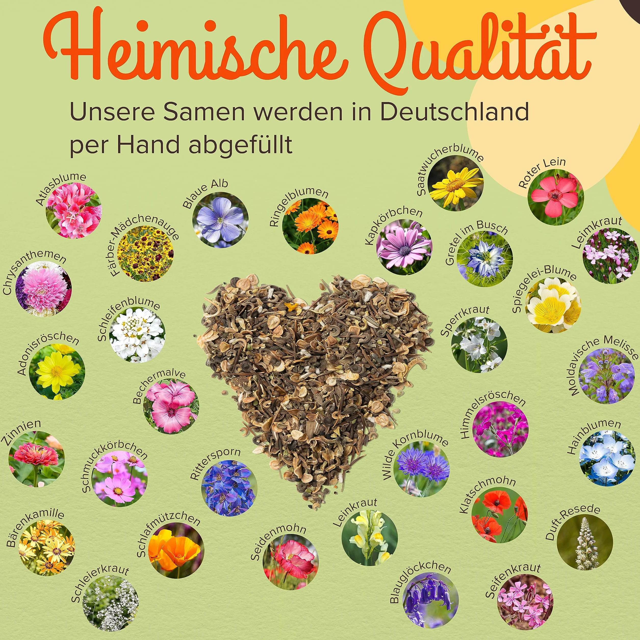 Mélange de graines de fleurs sauvages pour prairie fleurie, riche en nectar pour abeilles et papillons, 100 g (20 m²)