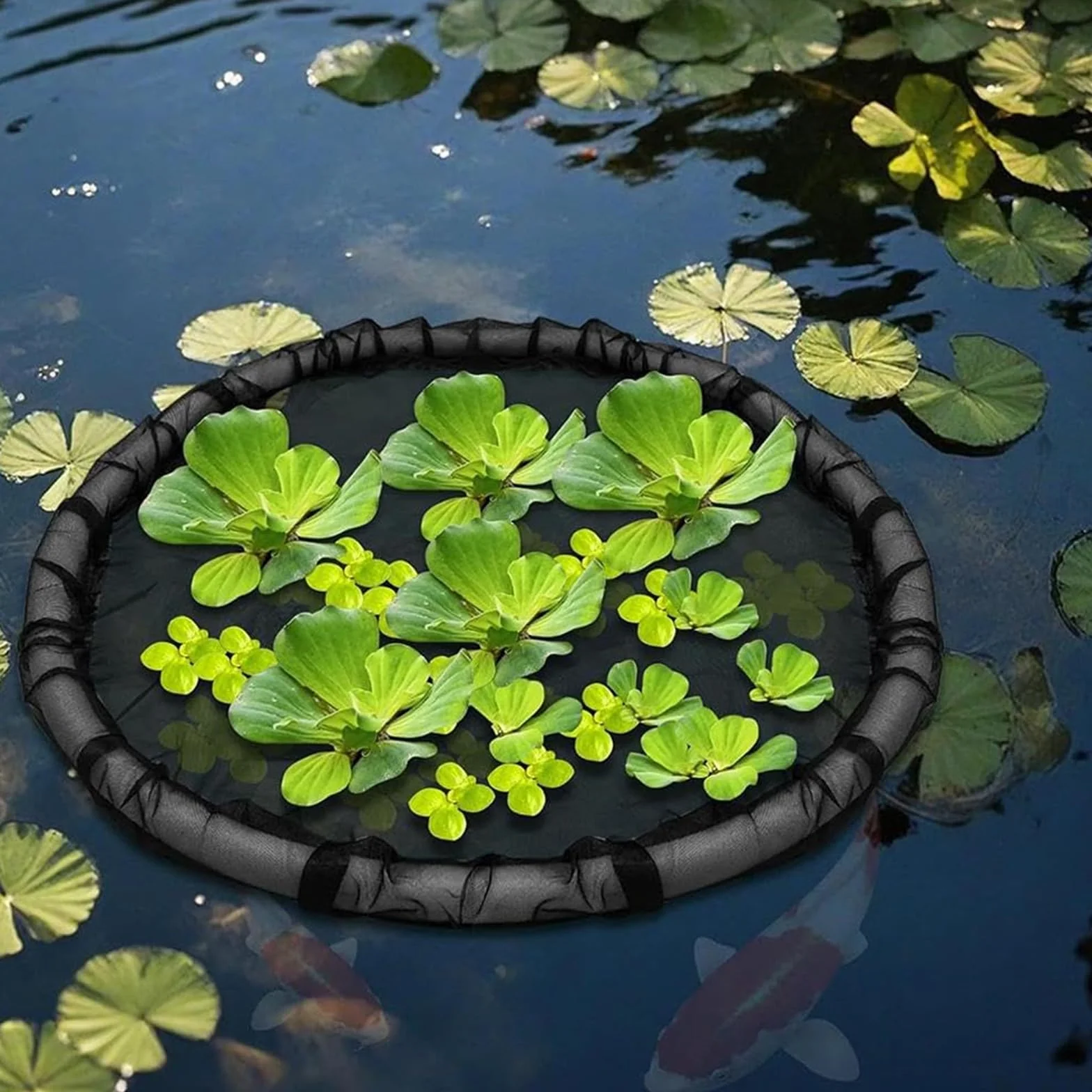 Barrière flottante pour poissons maille fine anneau levage bassin extérieur 60 cm