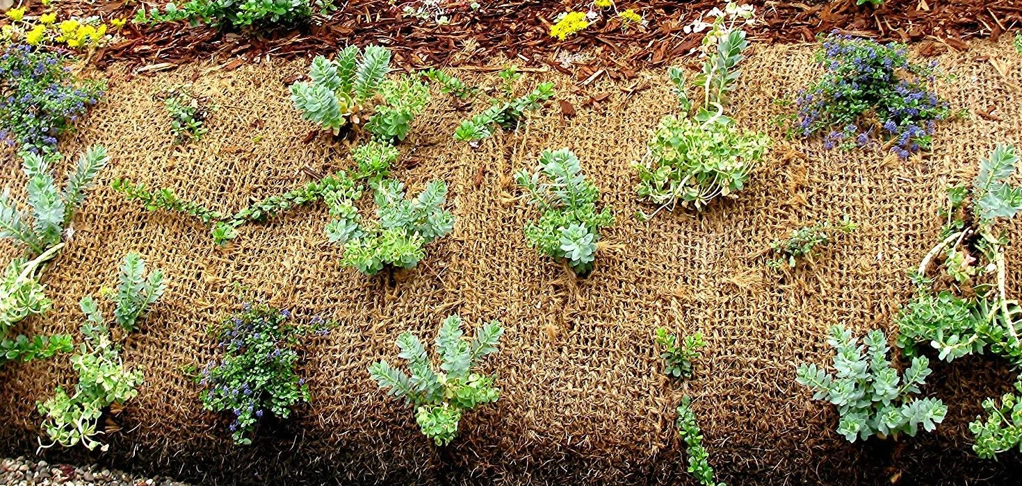 Tapis de talus en coco 1m large 750gr/m² 25m