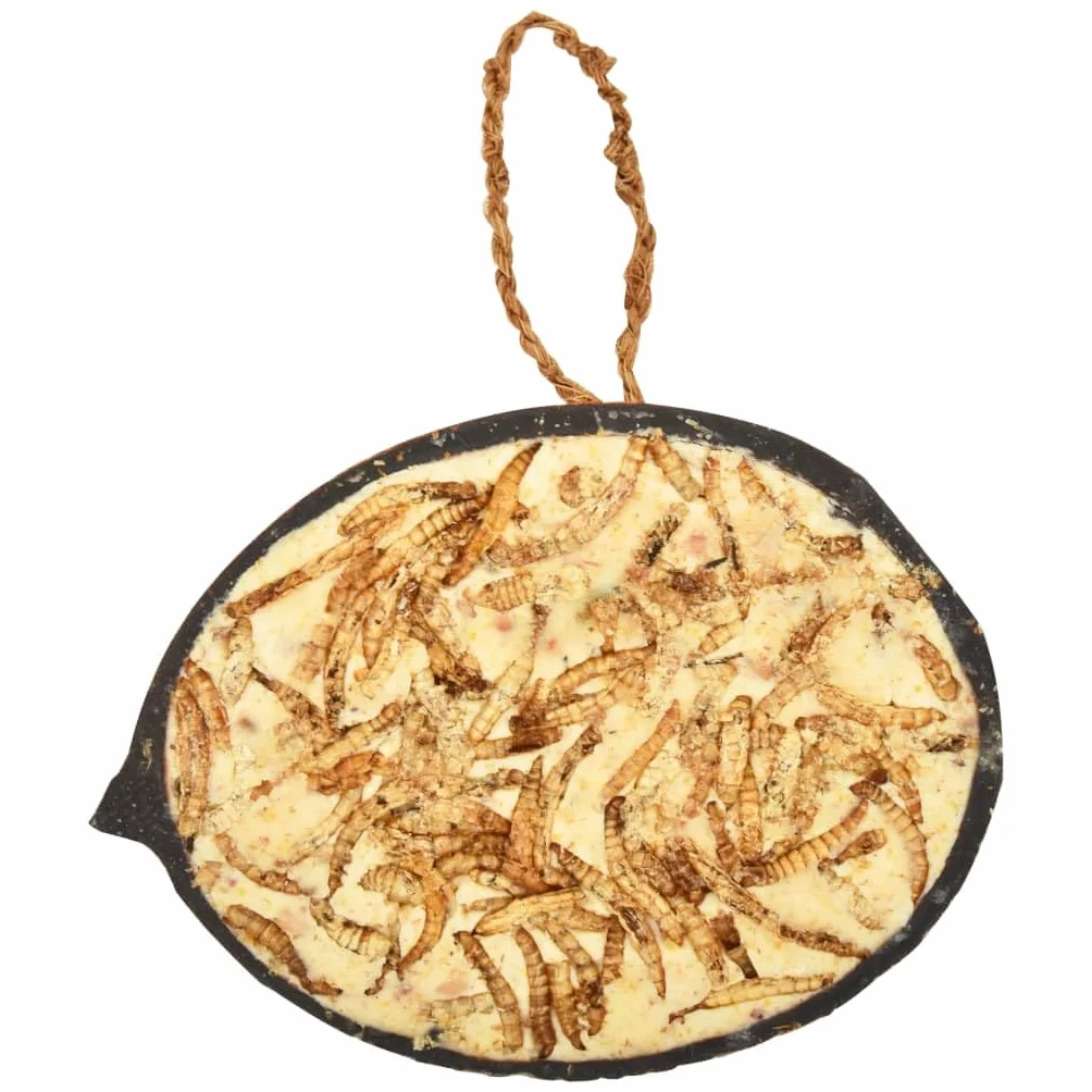 vidaXL 10x Moitiés de Noix de Coco pour Oiseaux 290 g