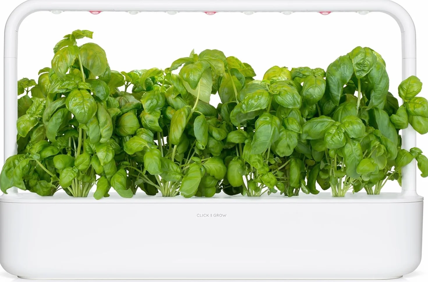 Click & Grow Smart Herb Garden Basilic Pack de 3 recharge