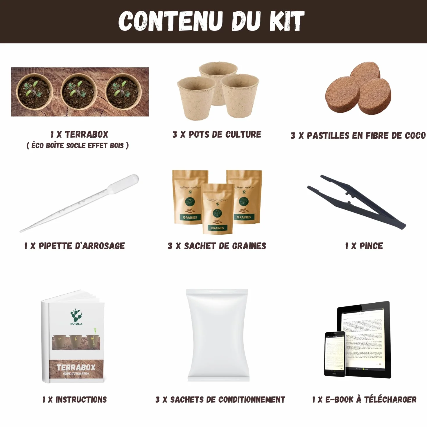 Kit Mini Fruitiers Prêt à Pousser Fraise Myrtille Mini Citronnier Graines Bio Jardin Intérieur Extérieur