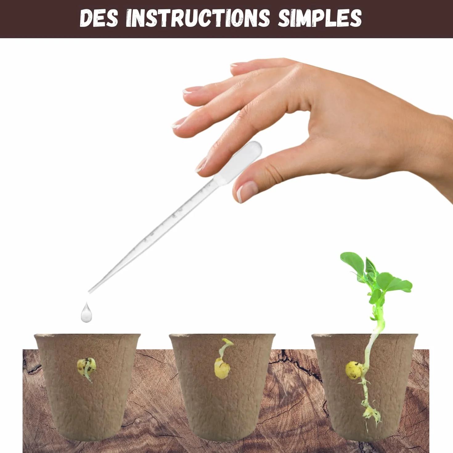 NOPALIA Kit Plantes Carnivores Dionée Attrape-Mouche Complet avec Graines Pots Tourbe Accessoires DIY Jardin Intérieur