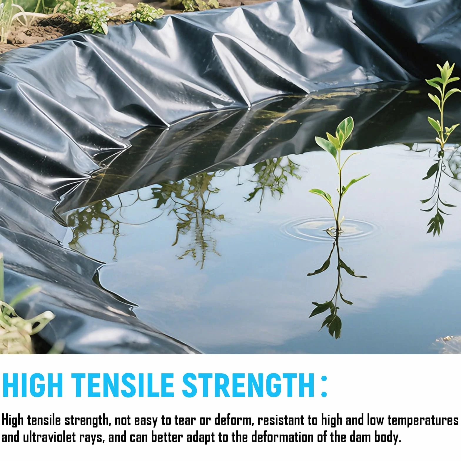 Bâche HDPE 2 x 2 m 0,2 mm pour bassin étang poissons jardin d'eau