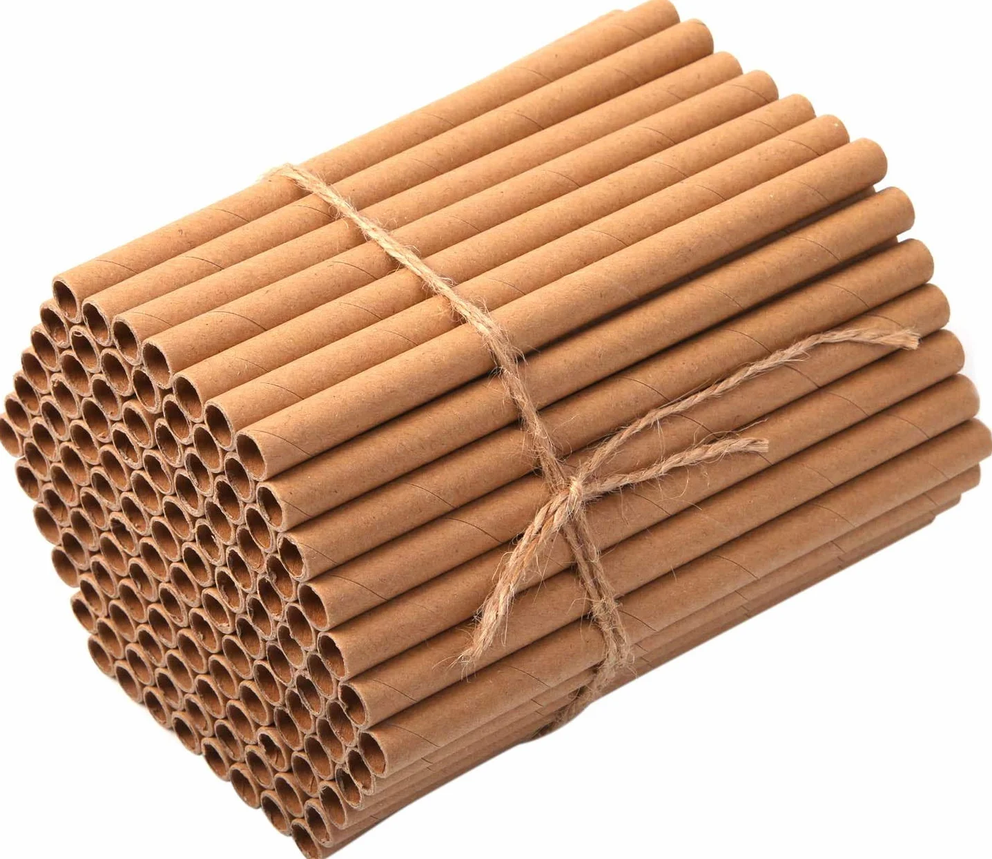 Lot de 200 tubes en carton de remplissage pour hôtel à insectes sauvages