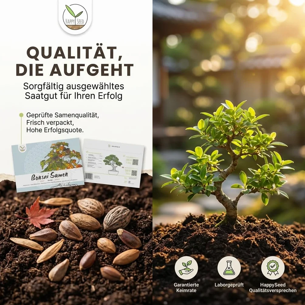 Graines de bonsaï Kit 5 graines taux de germination élevé