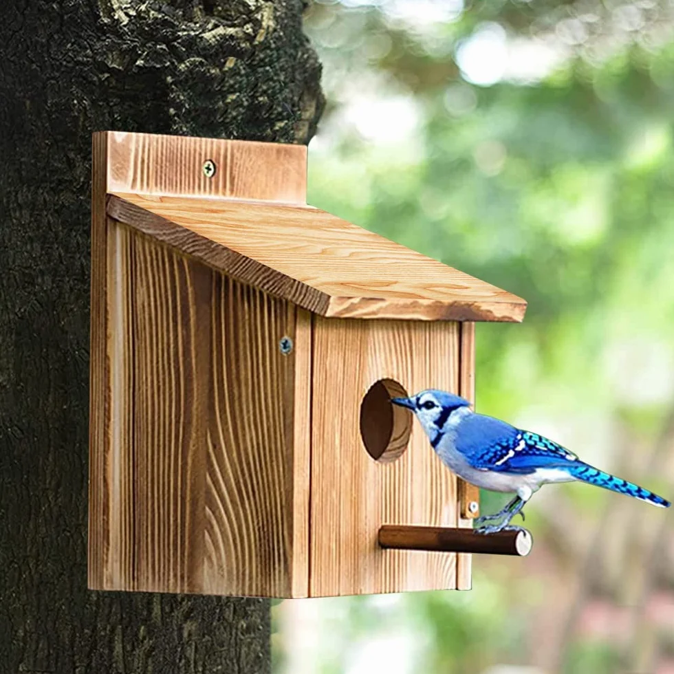 Nichoir Oiseaux Exterieur Original en Bois, Nid Canari Sauvages, Mésange Bleue Charbonnière Suspendre Jardin