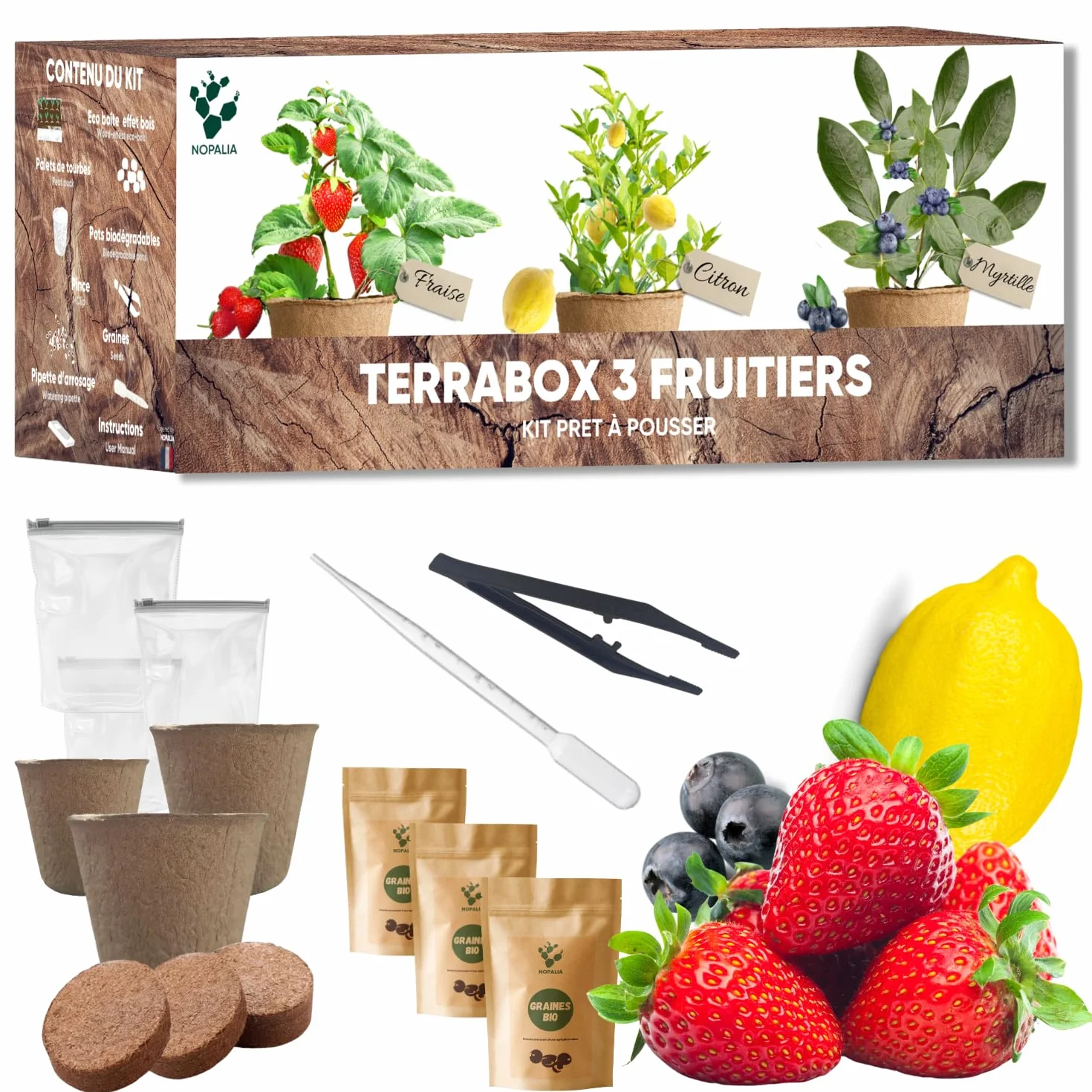 Kit Mini Fruitiers Prêt à Pousser Fraise Myrtille Mini Citronnier Graines Bio Jardin Intérieur Extérieur