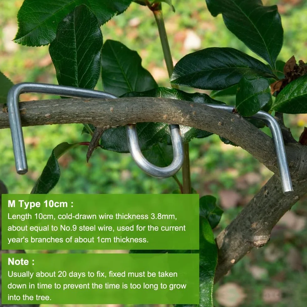 Épandeur de Branches d'Arbre en Forme de M, 25 PCS, Support Arrache-Branches pour Branches Fruitières