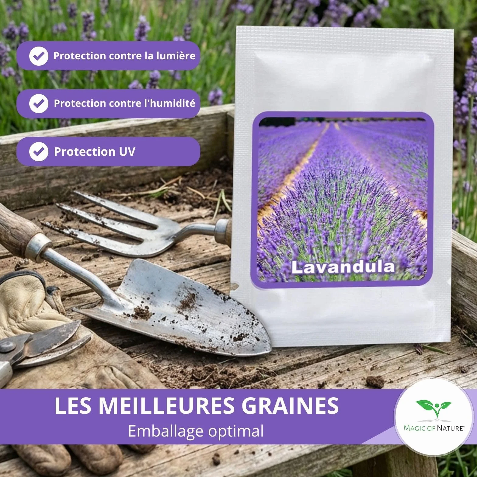 Graines de Lavande Vraie 150 Pcs – Semis Rustique Vivace – Plante Odorante pour Jardin