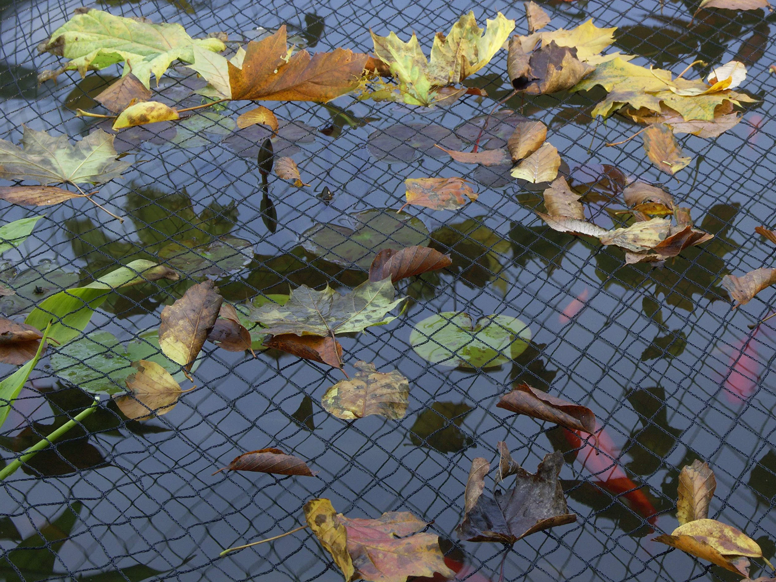 Blagdon Clearview Filet de protection fin 4 x 3 m Noir