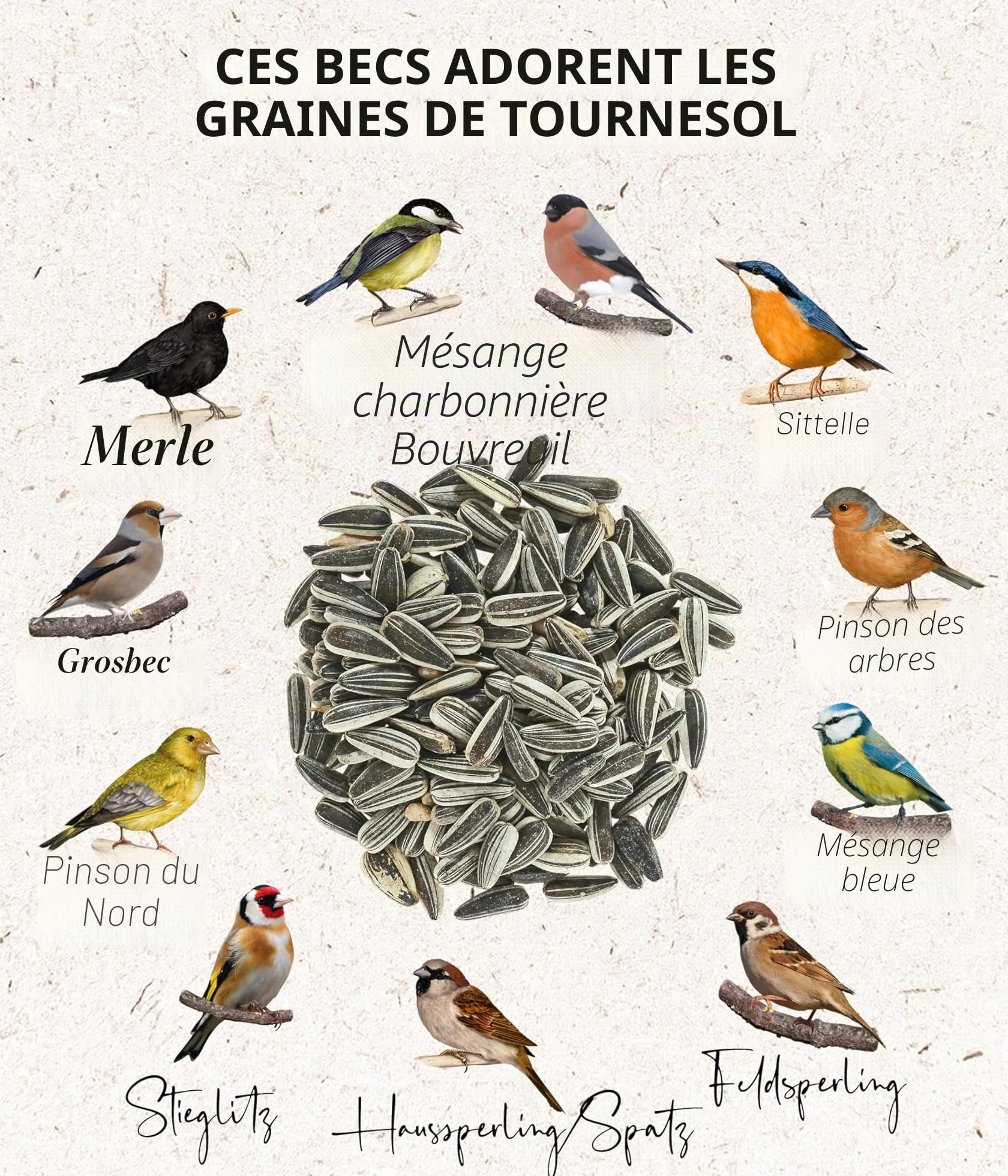 Dehner Natura Premium Nourriture pour Oiseaux Sauvages, Graines de Tournesol Non décortiquées, Seau 5L