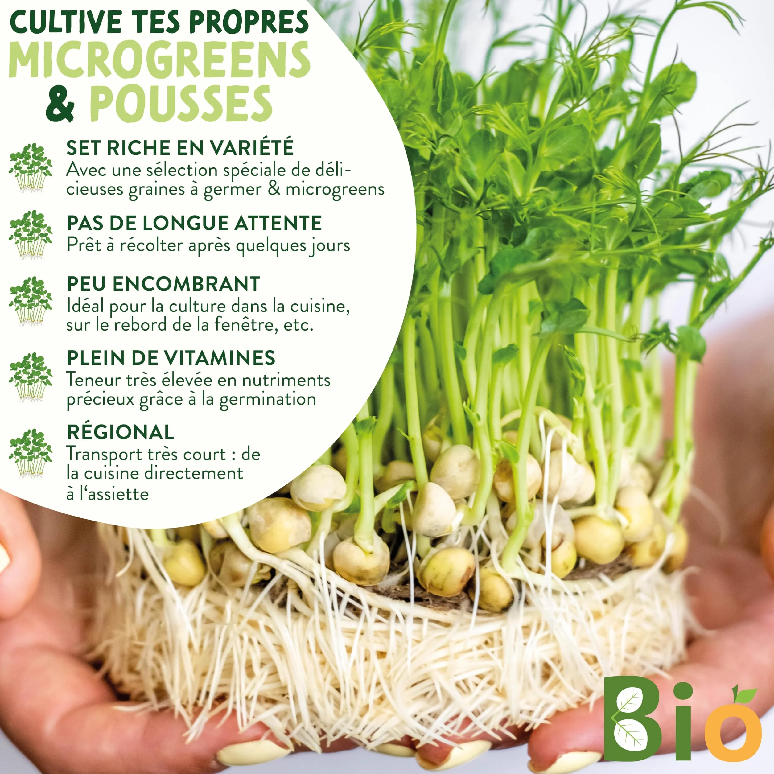Valeaf Kit de Grains de Microgreens Assortiment de Semences Prêt à Pousser 8 Variétés de Pousses Germées