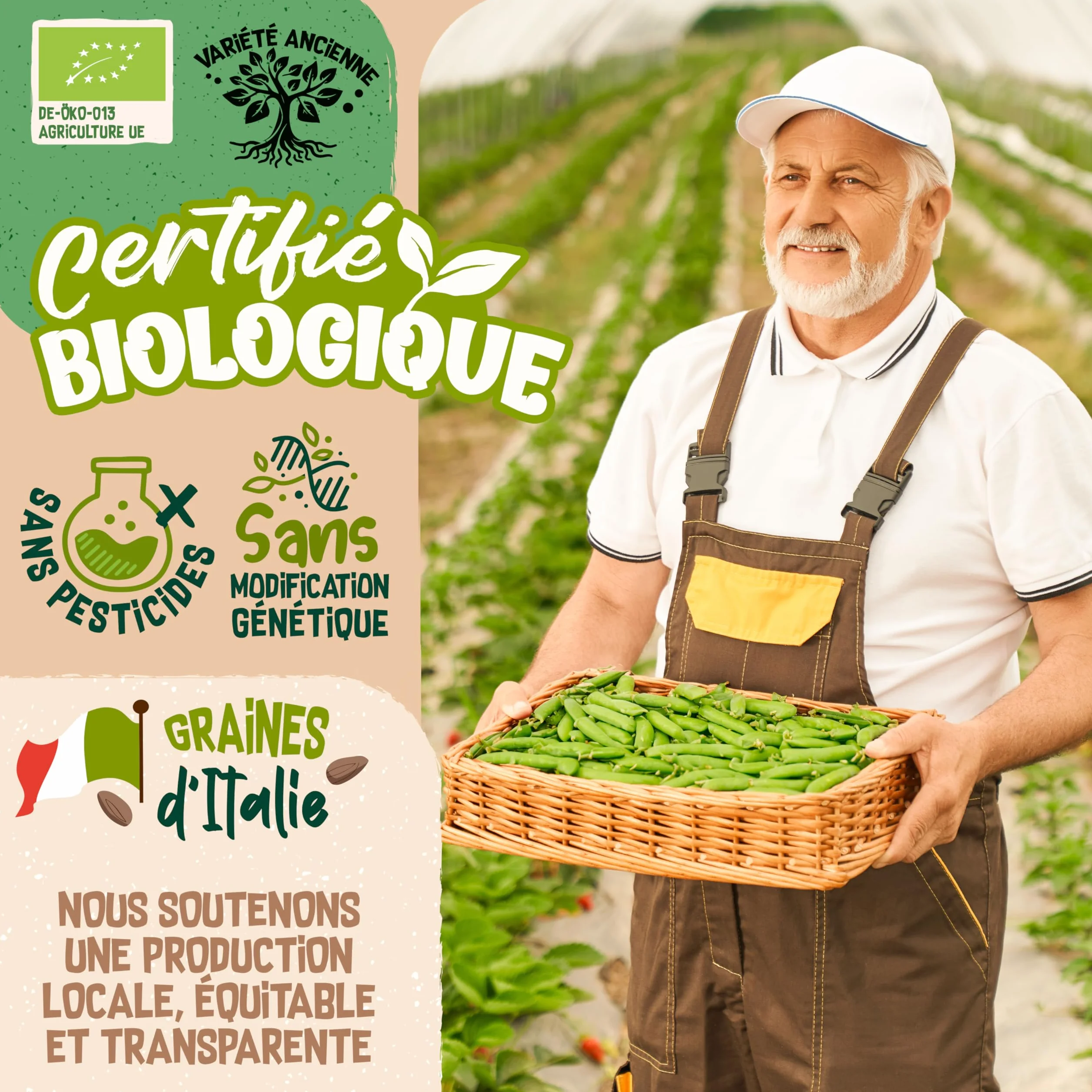 Graines de brocoli bio ZenGreens - Microgreens - 10g, 200g, 500g - Taux de germination 97%