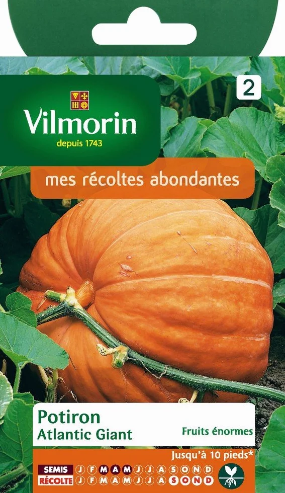 Vilmorin Pack de Graines Potiron Atlantic Giant