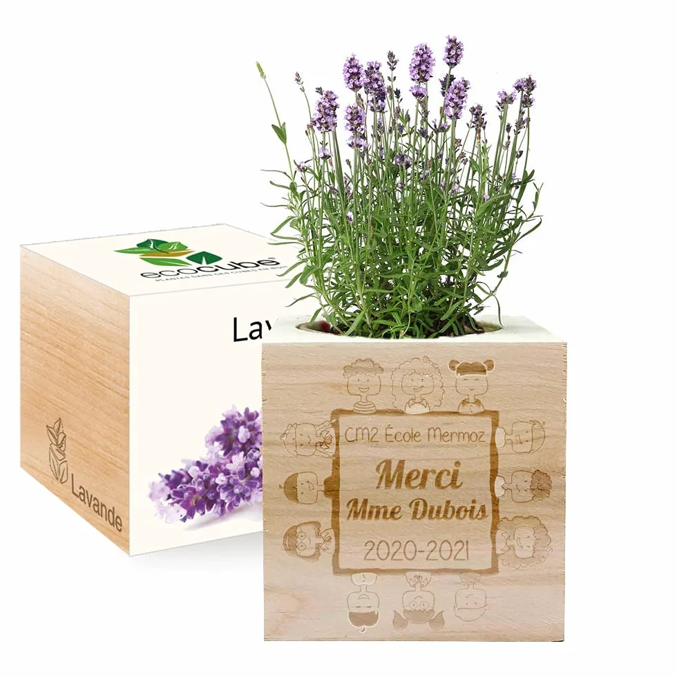 Ecocube gravé Merci Maîtresse Lavande Plantes dans un Cube en Bois Cadeau Durable