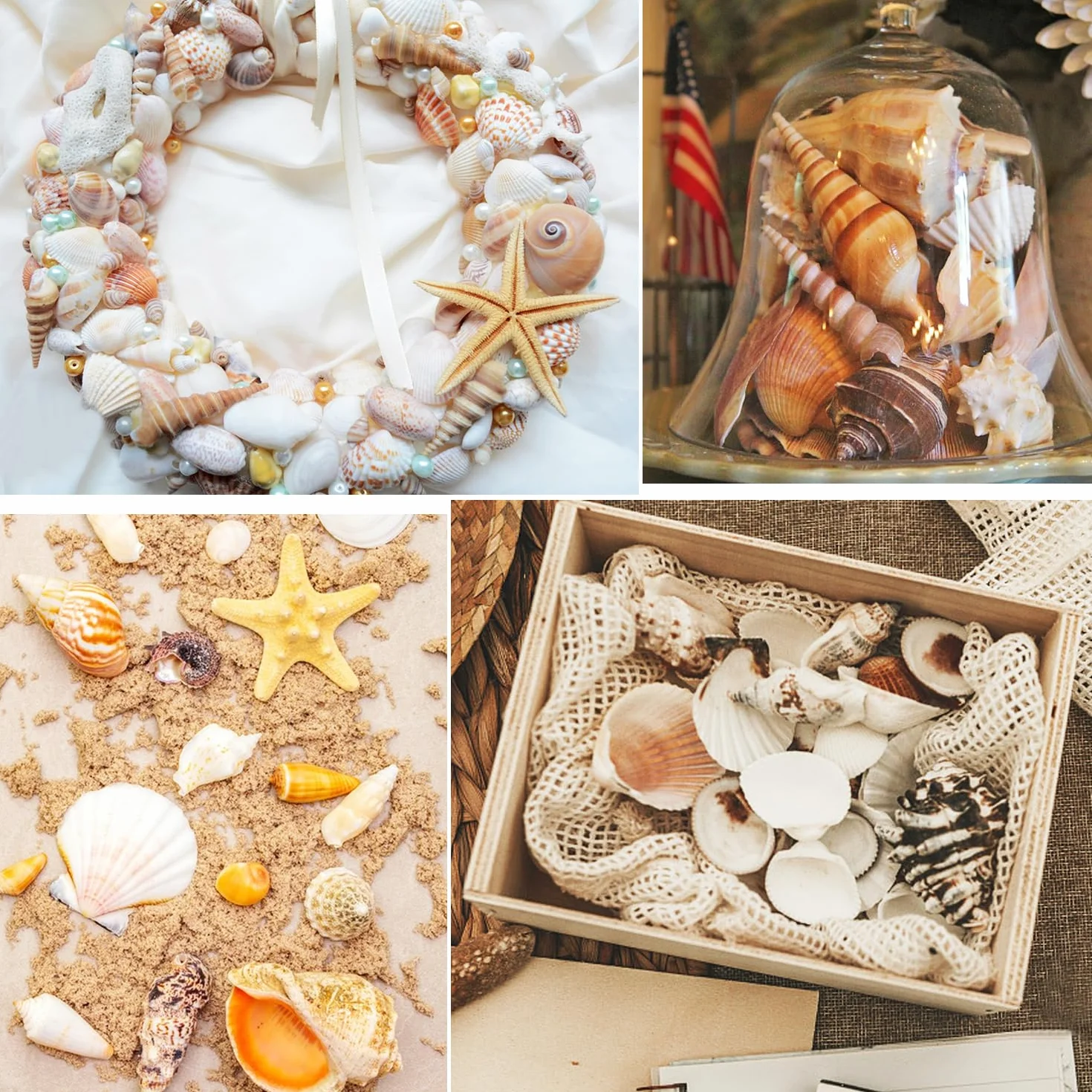 Coquillages Mixtes Marins 3-9cm pour Décoration Mariage