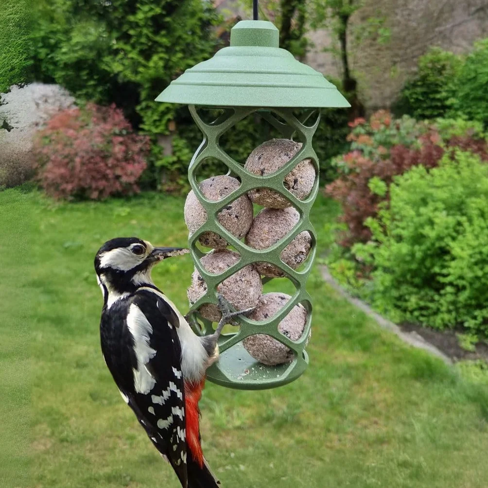 Boules Graisse VÉGÉTALE pour Oiseaux du Jardin – Fabriqué en France – 200 Boules sans Huile de Palme