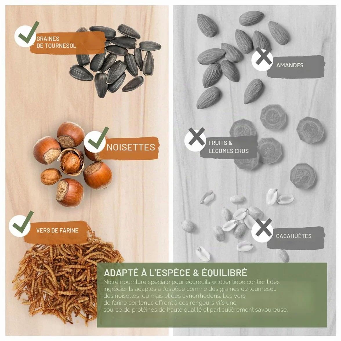 Wildtier Liebe Nourriture pour écureuils 2 kg pour écureuils et tamias