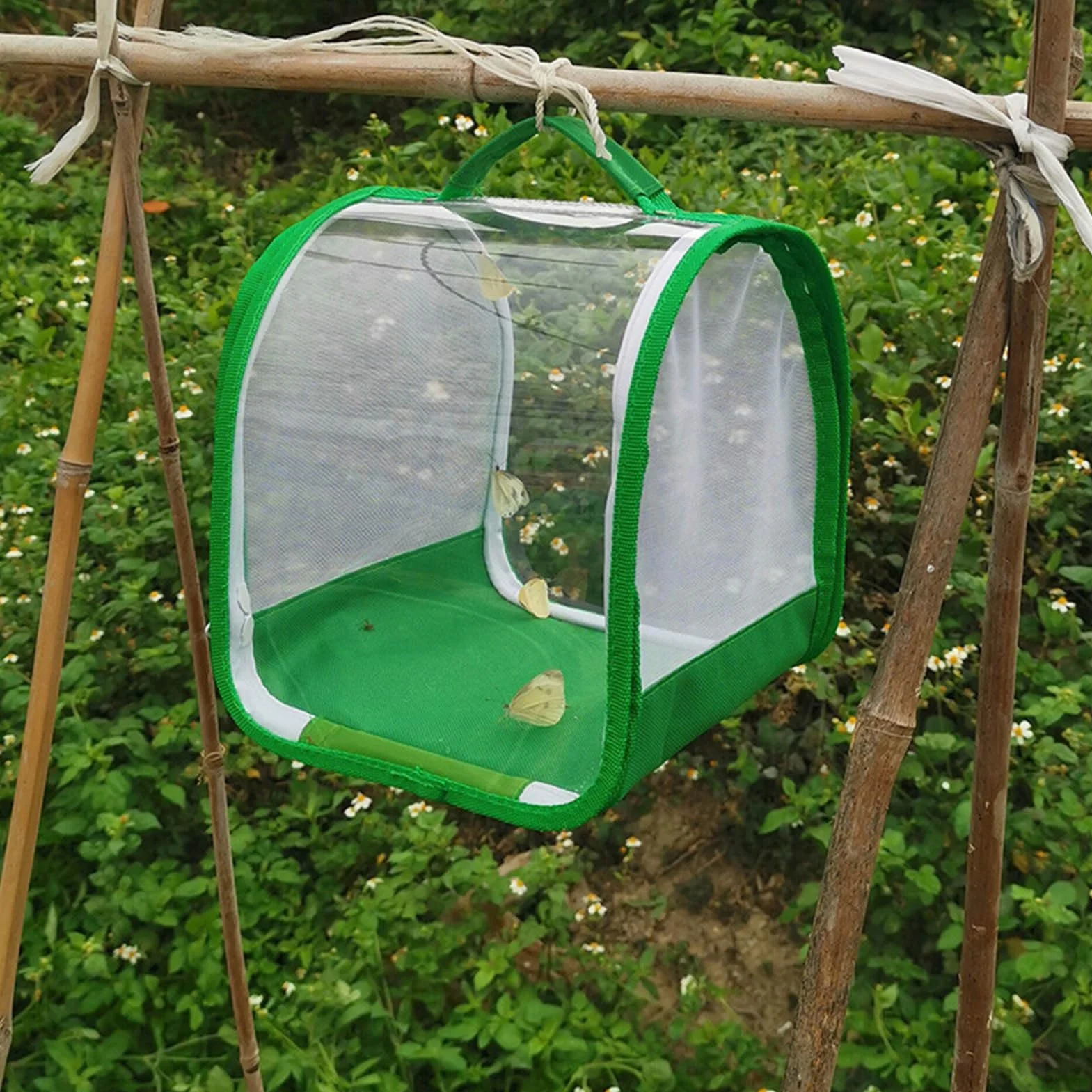 Papillon Habitat Cage de Reproduction Pliable en Maille Transparente pour Insectes et Papillons