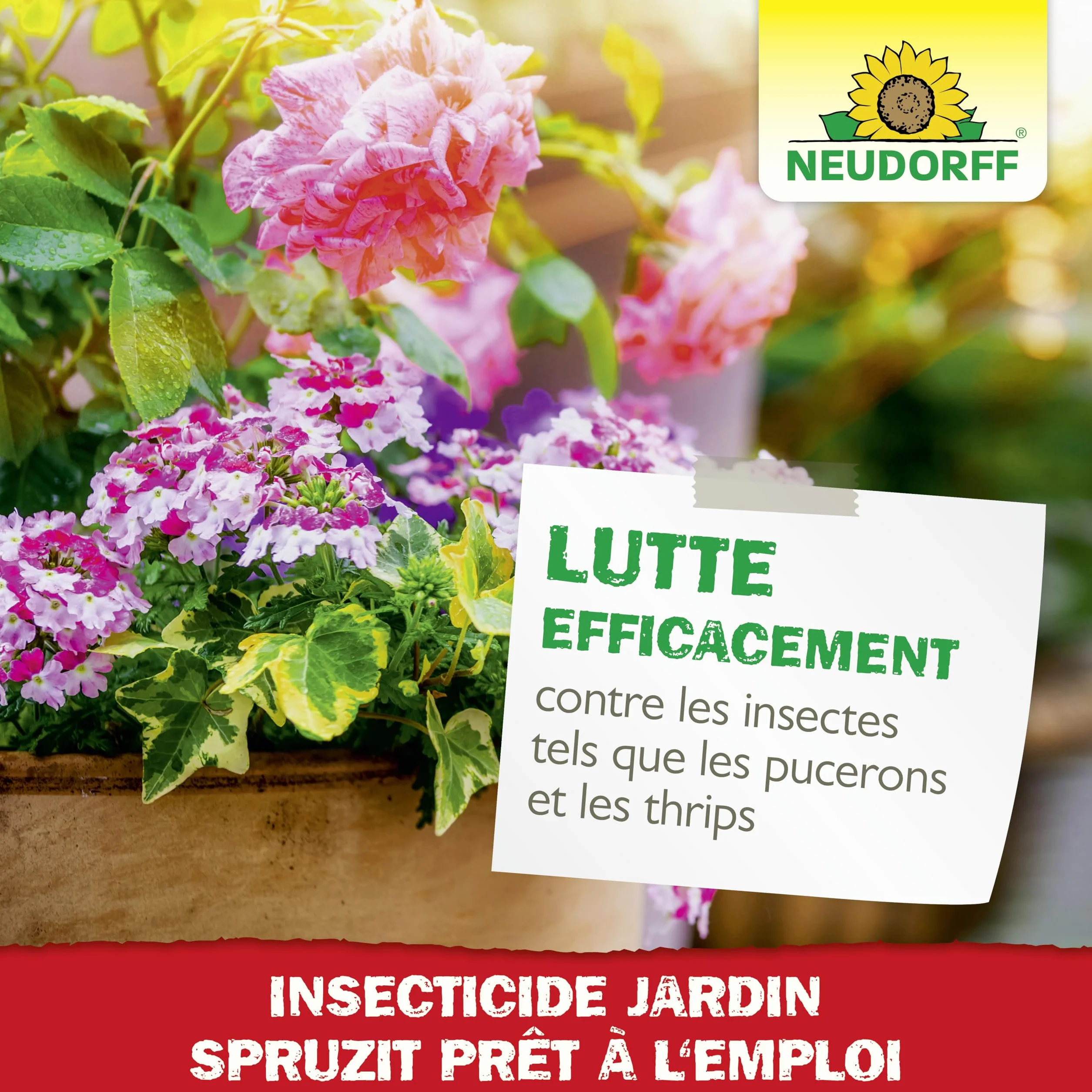 Neudorff Spruzit Insecticide Jardin 750 ml - Prêt à l'emploi contre pucerons, cochenilles et ravageurs